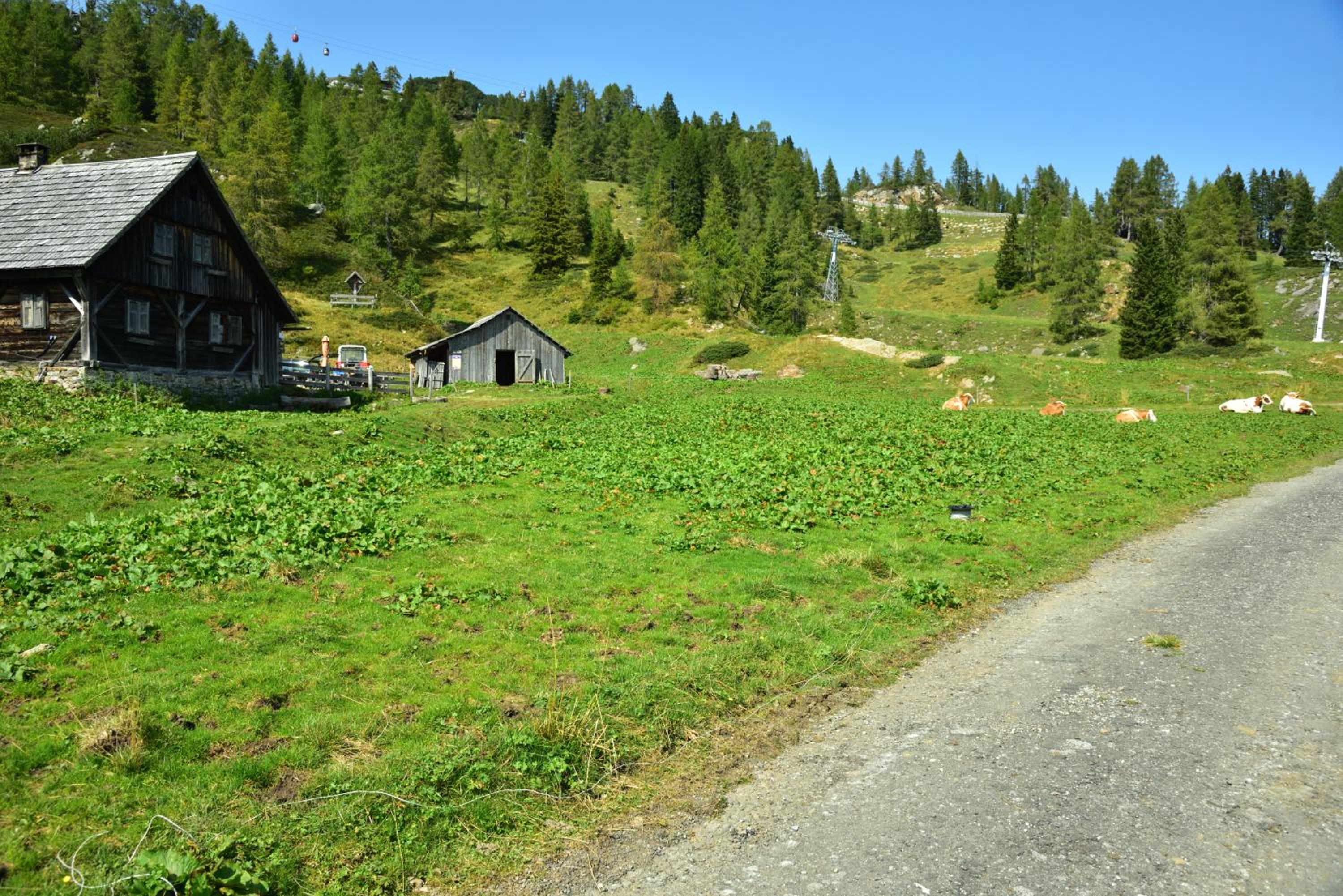 Apartment Sonnleitn/Nassfeld