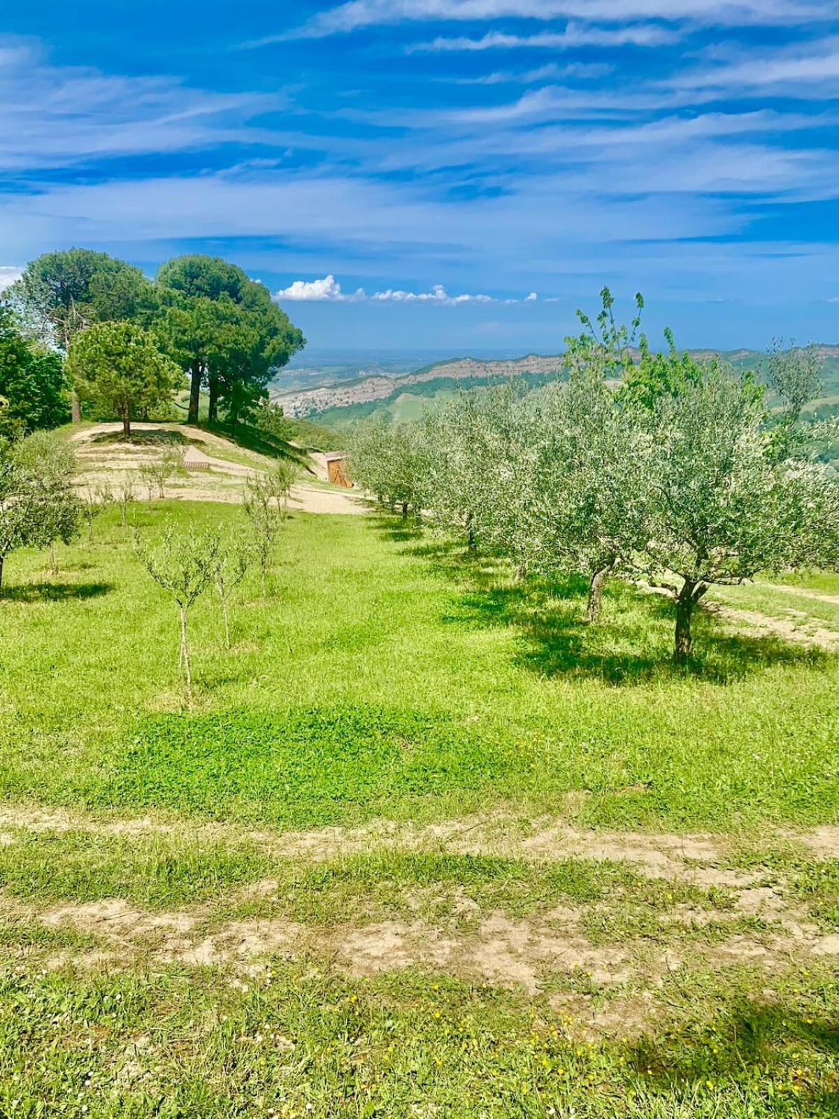 Agriturismo La Taverna view 3