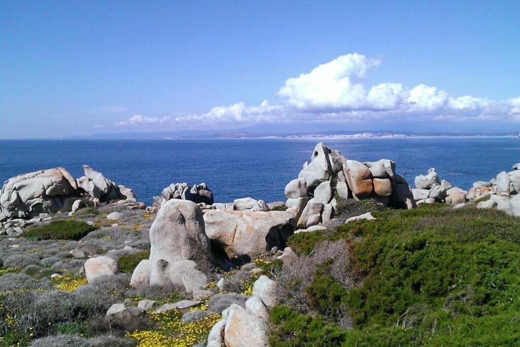 Una splendida terrazza sul mare view 5