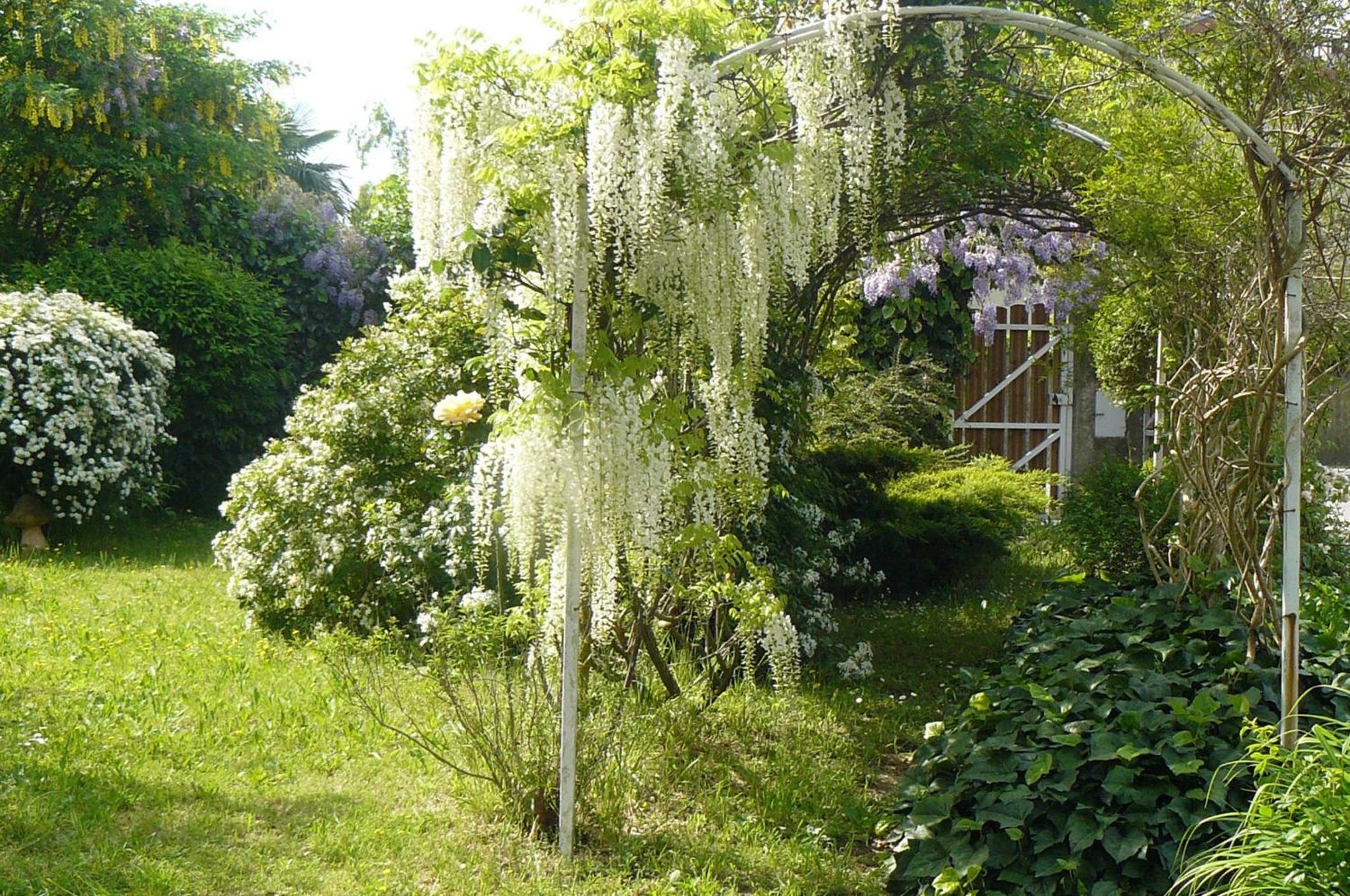Photo 30