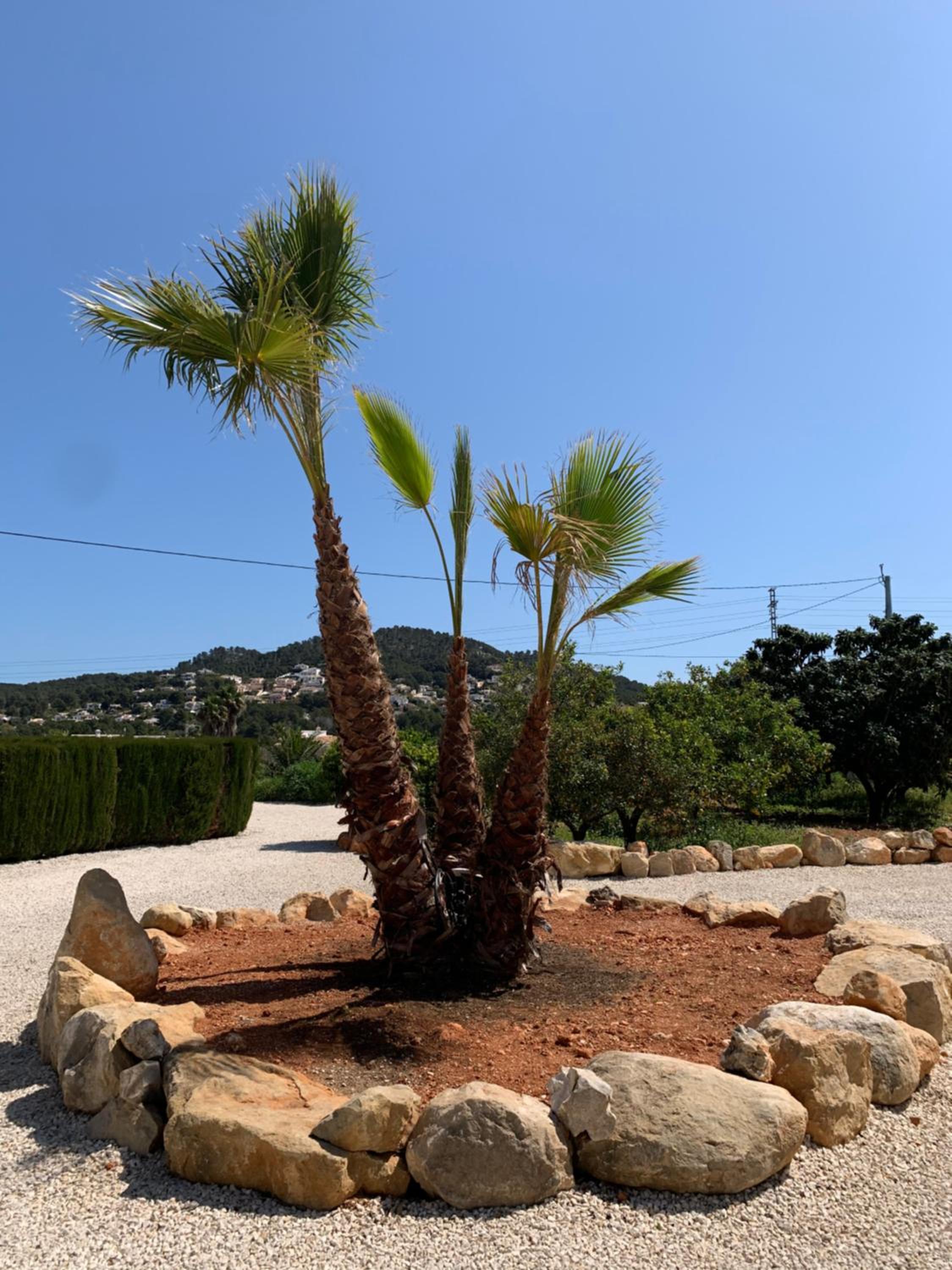 Finca Bona Nit view 3