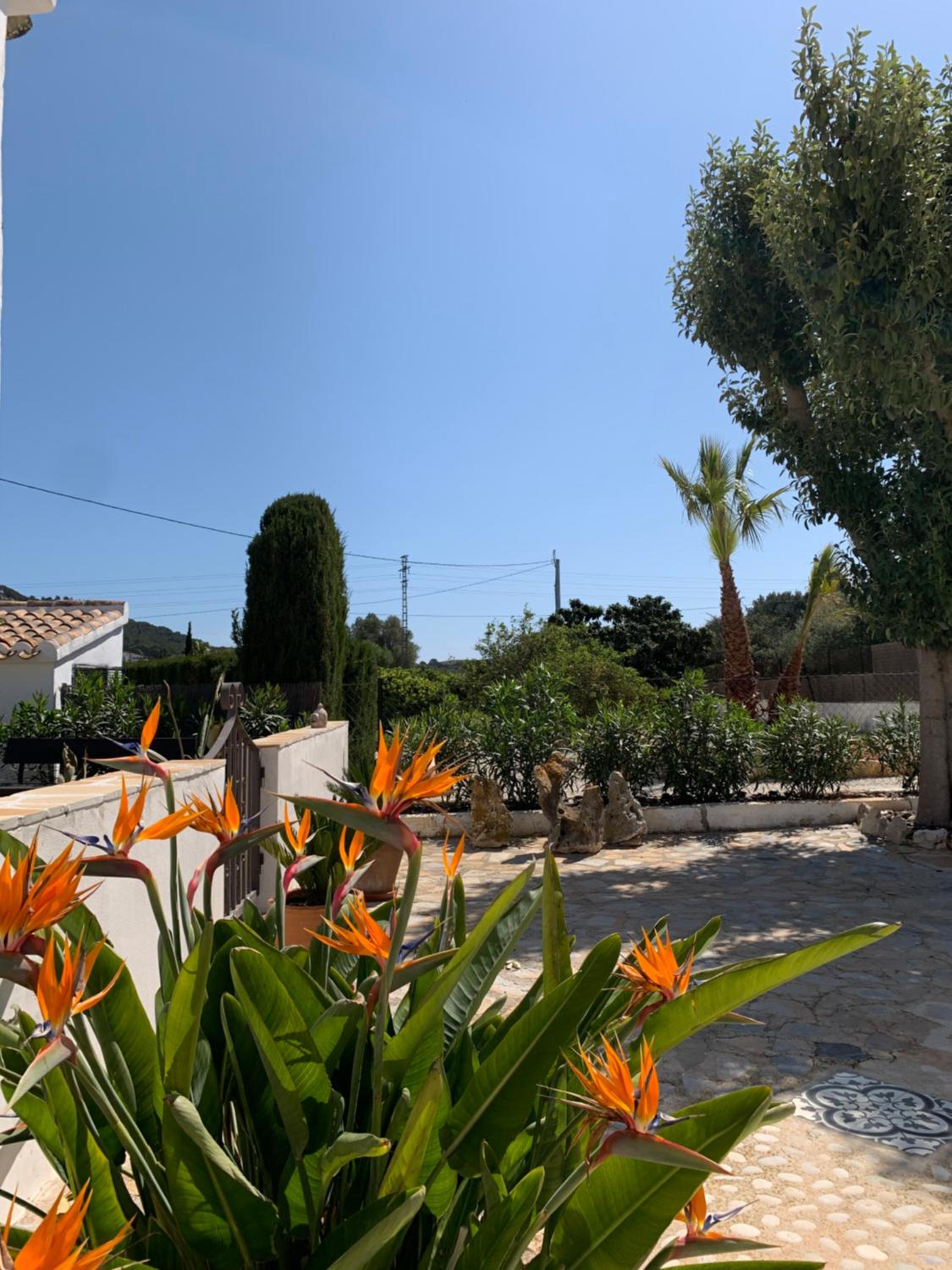 Finca Bona Nit view 2