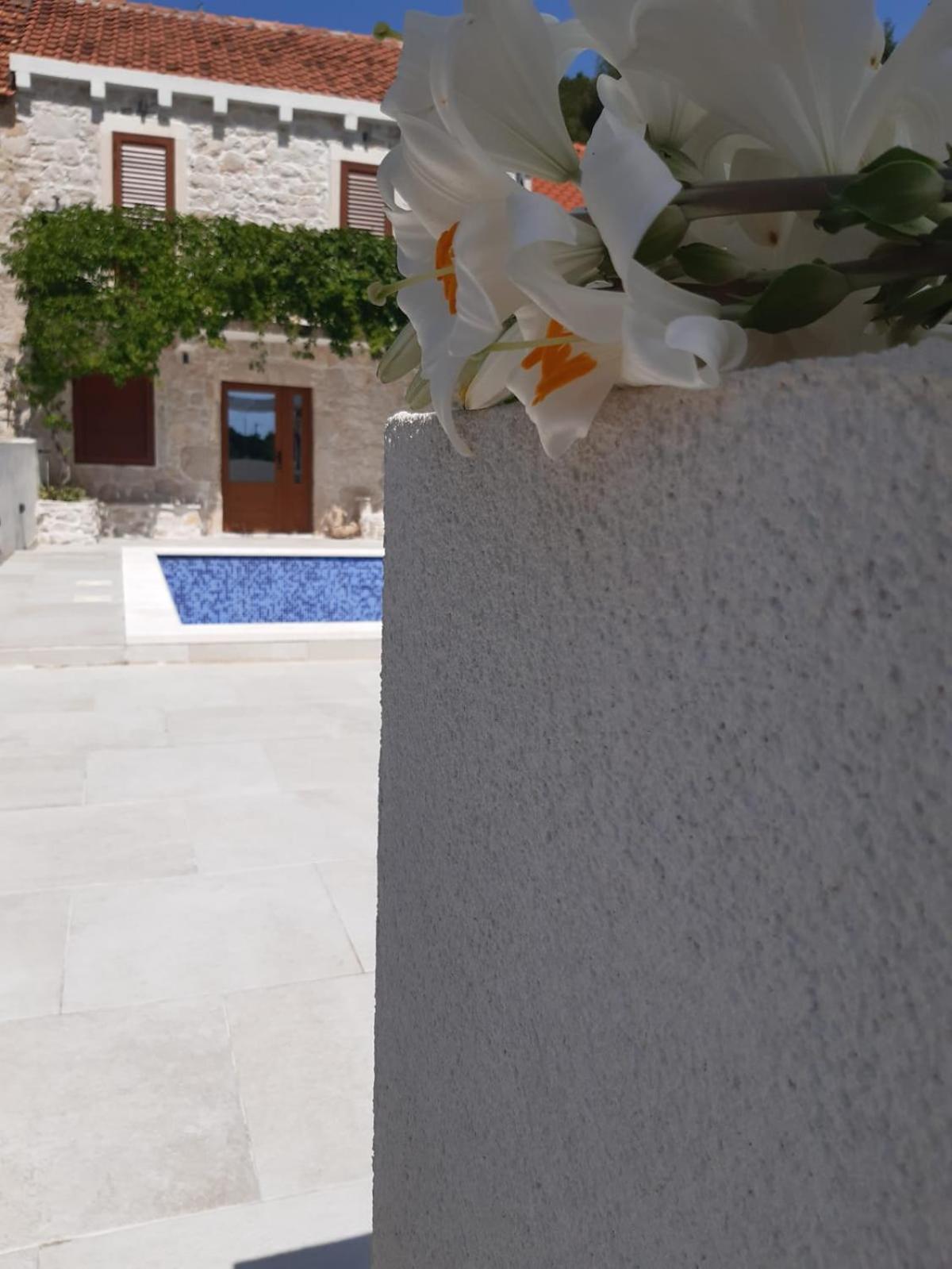 Villa Dragi view 4