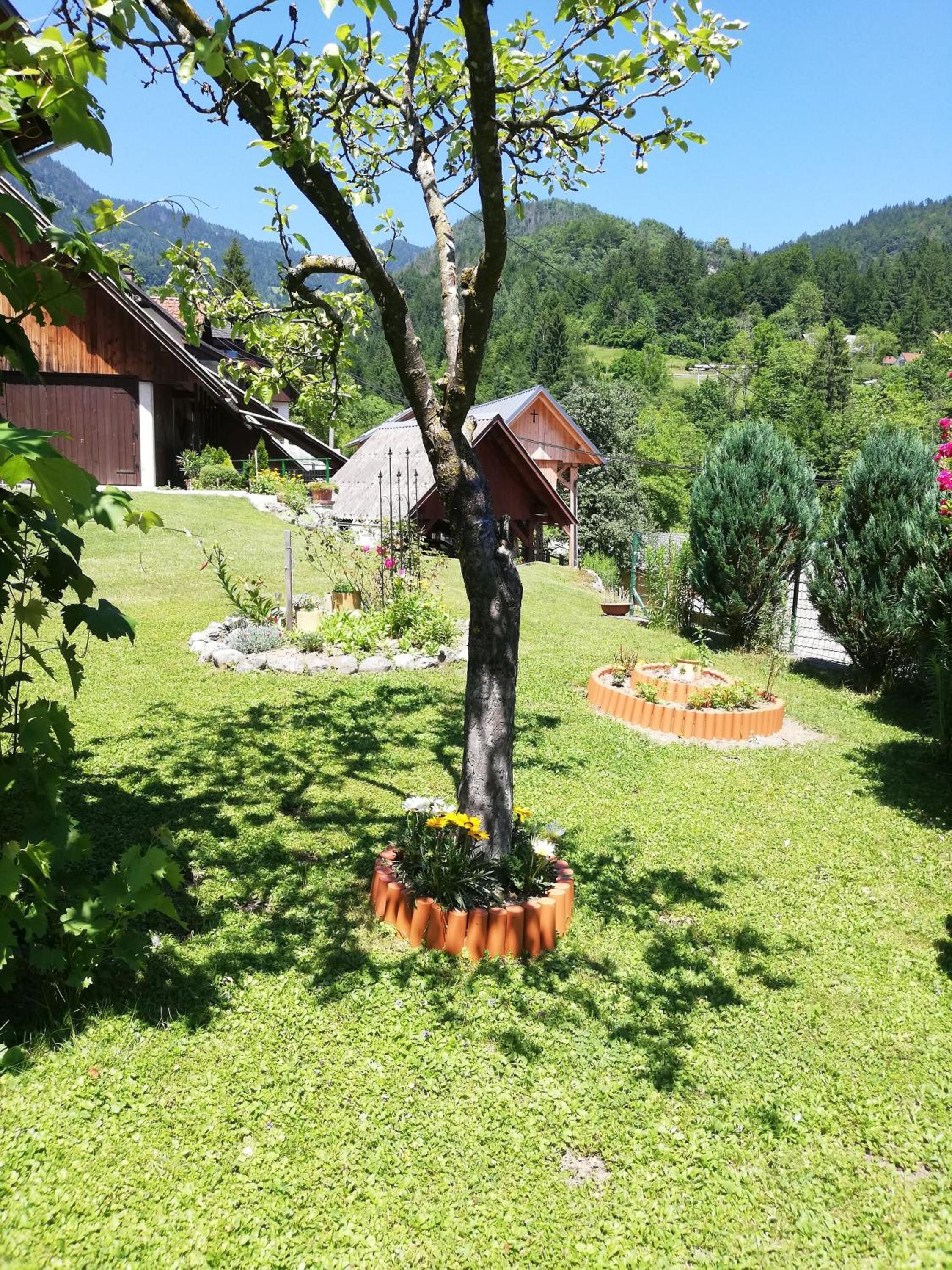 Photo 11