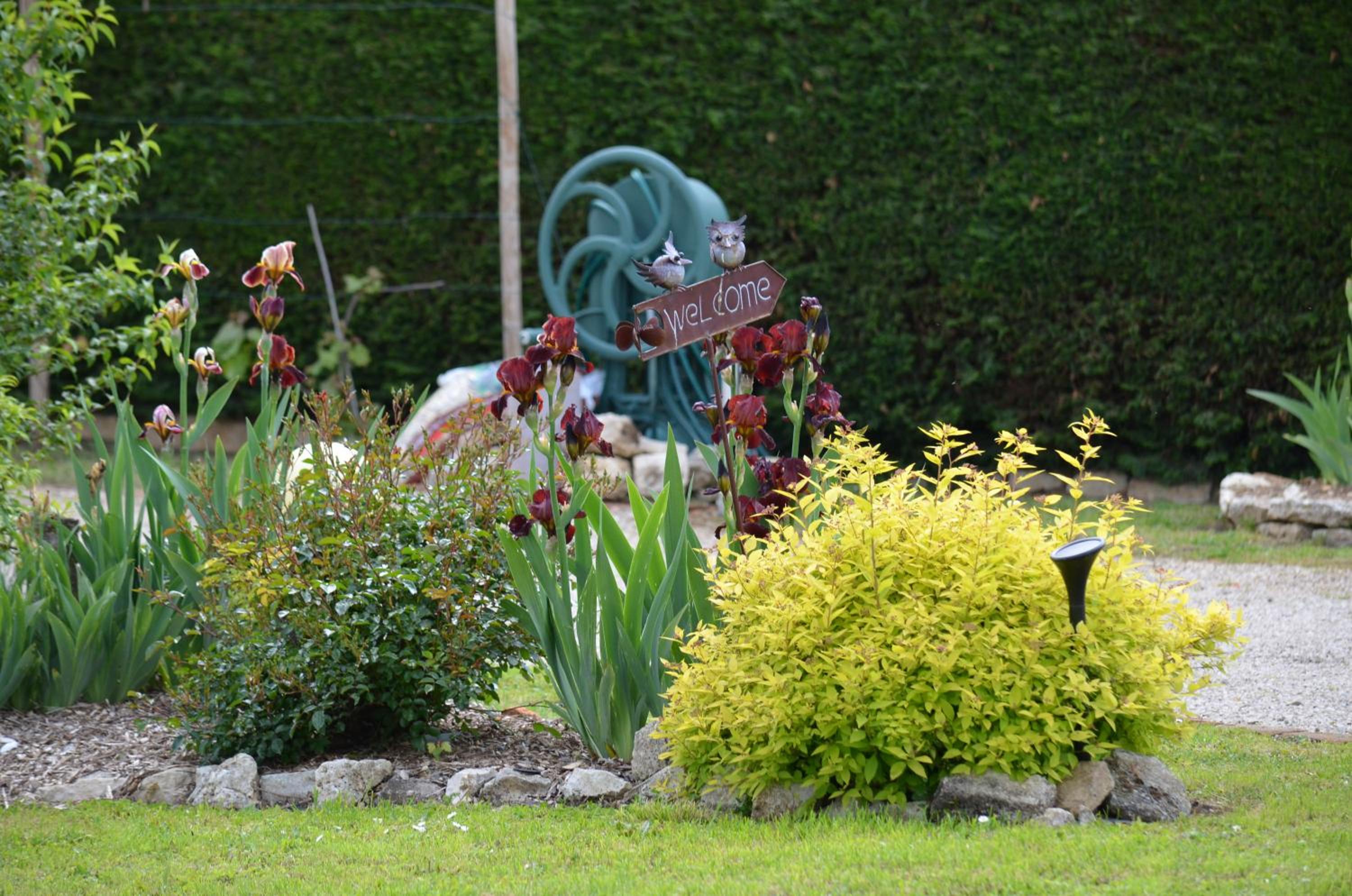 Logis Hotel Domaine du Cheval Blanc view 4