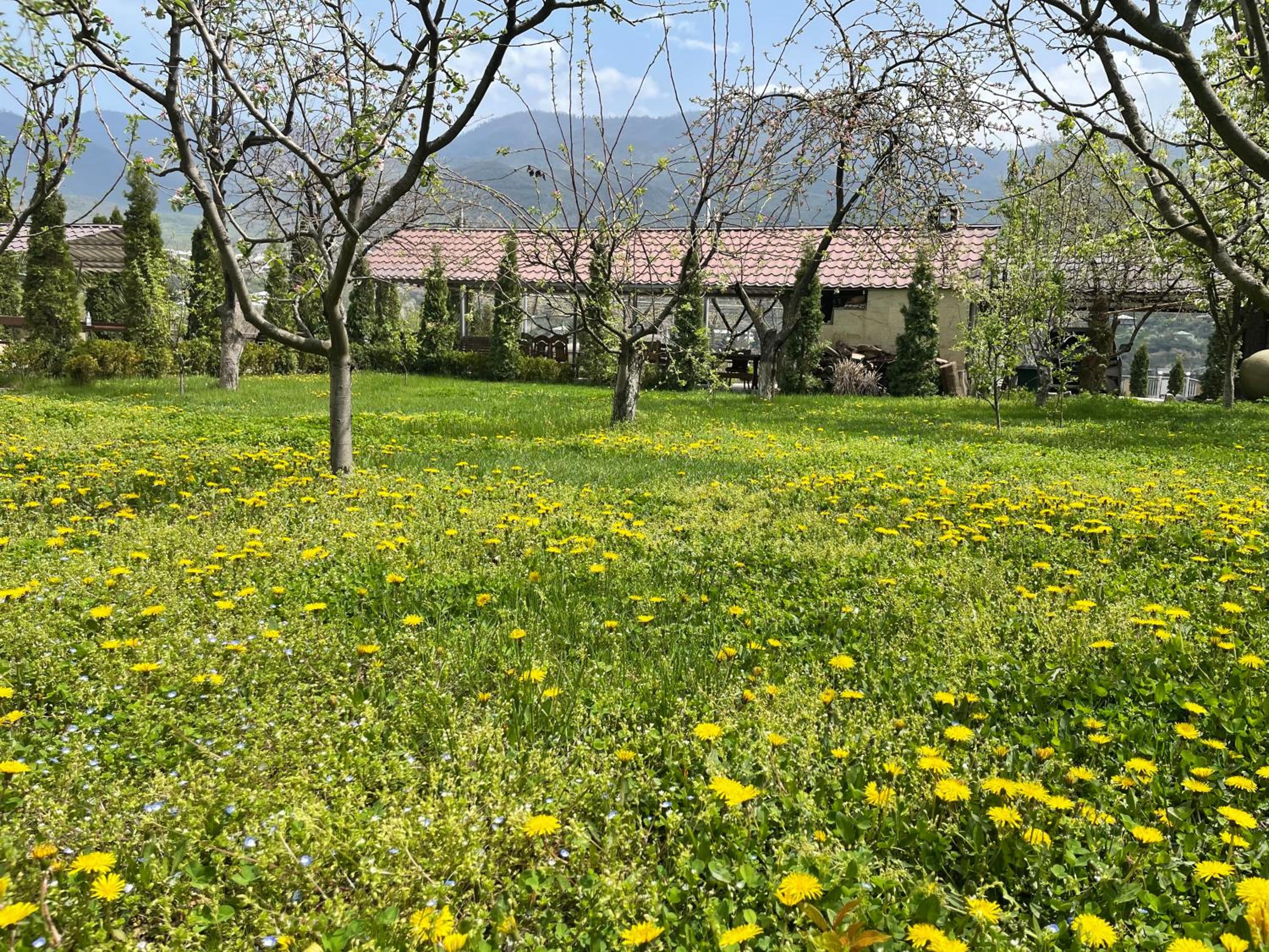 Kamar Hotel Ijevan