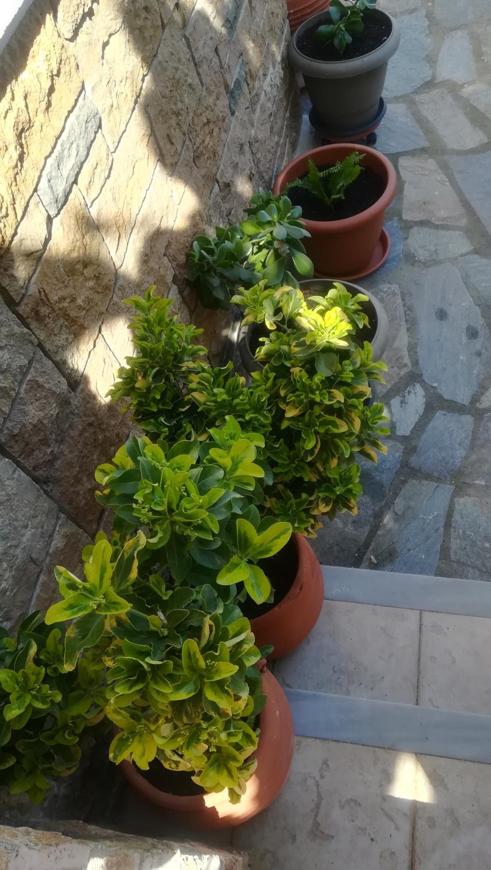 Photo 29