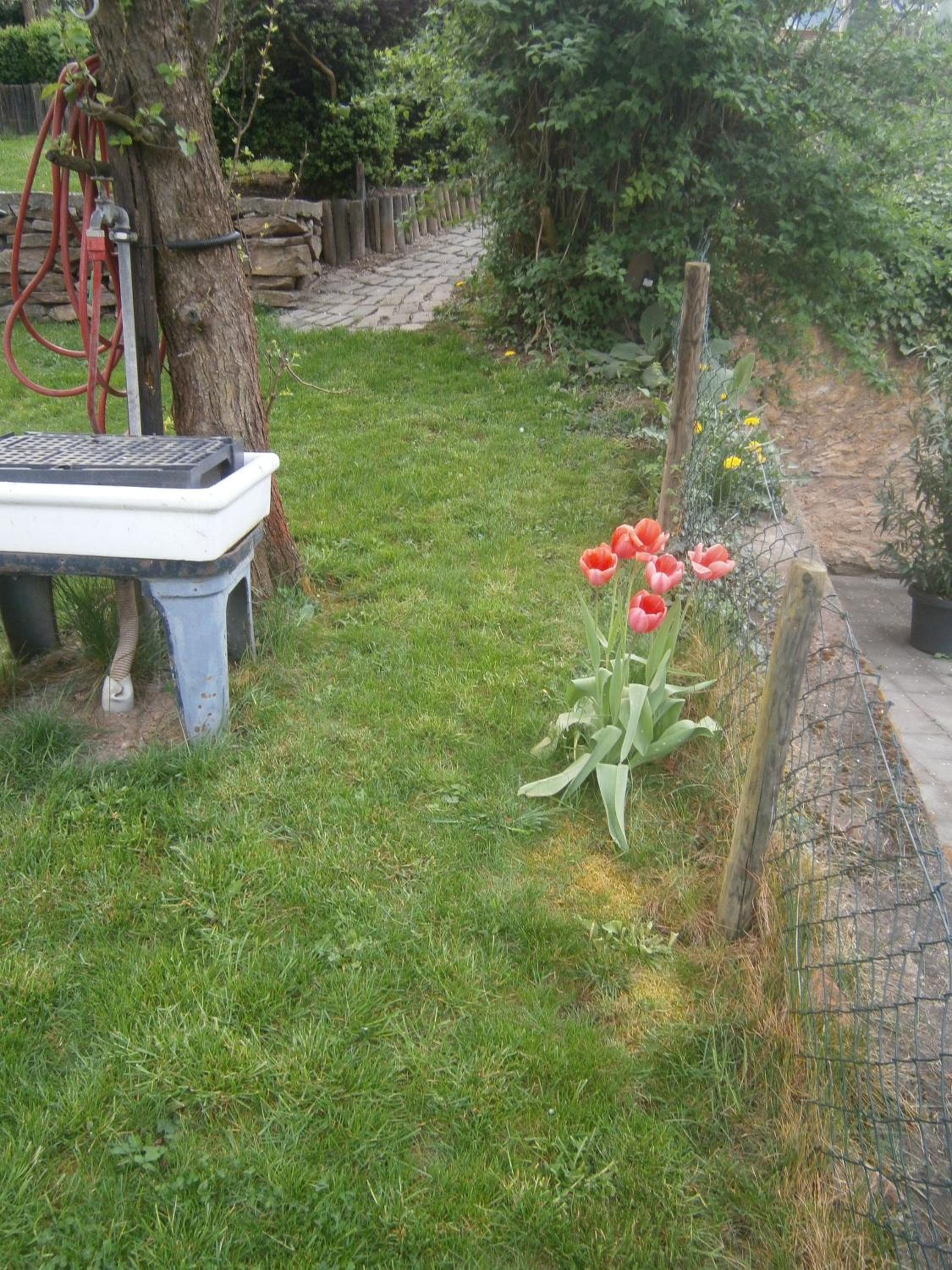 Ferienhaus Schneiders