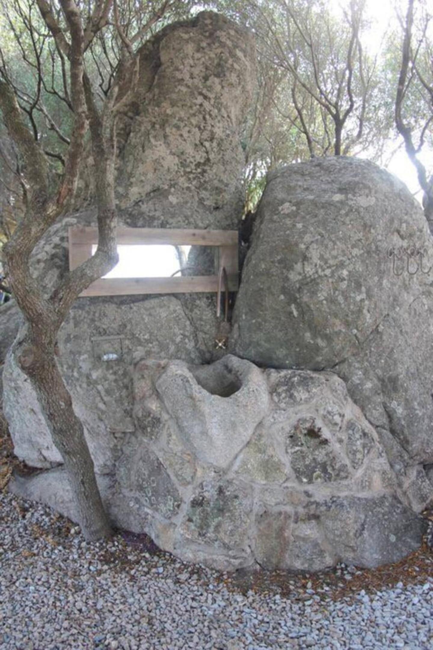 Photo 41