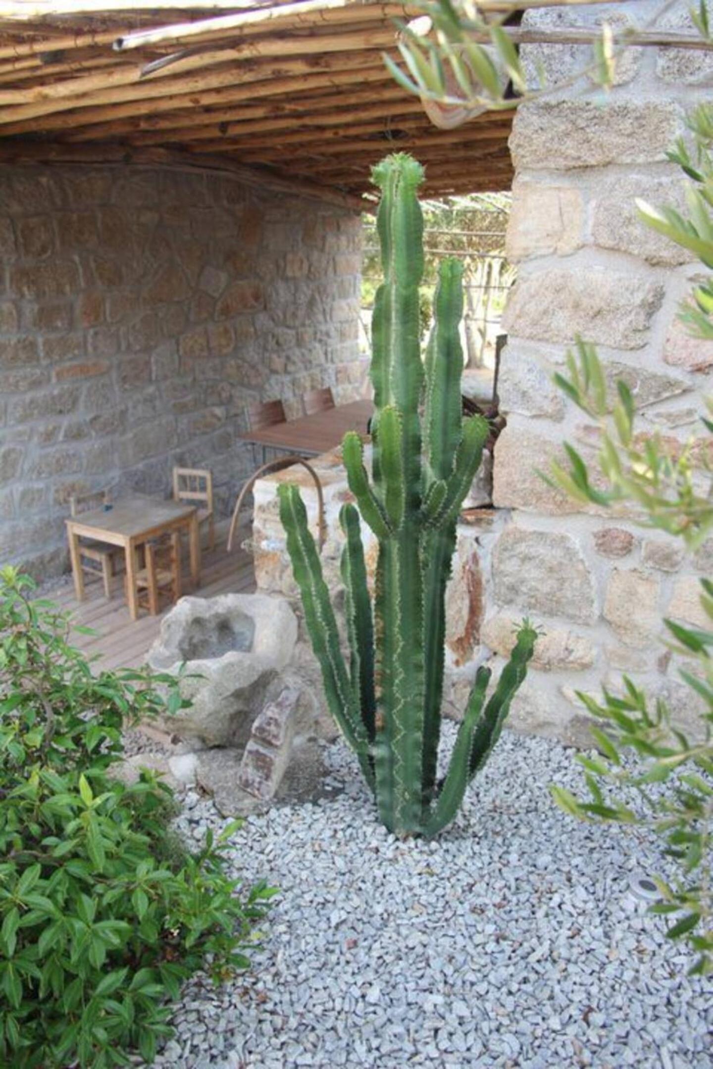 Photo 47