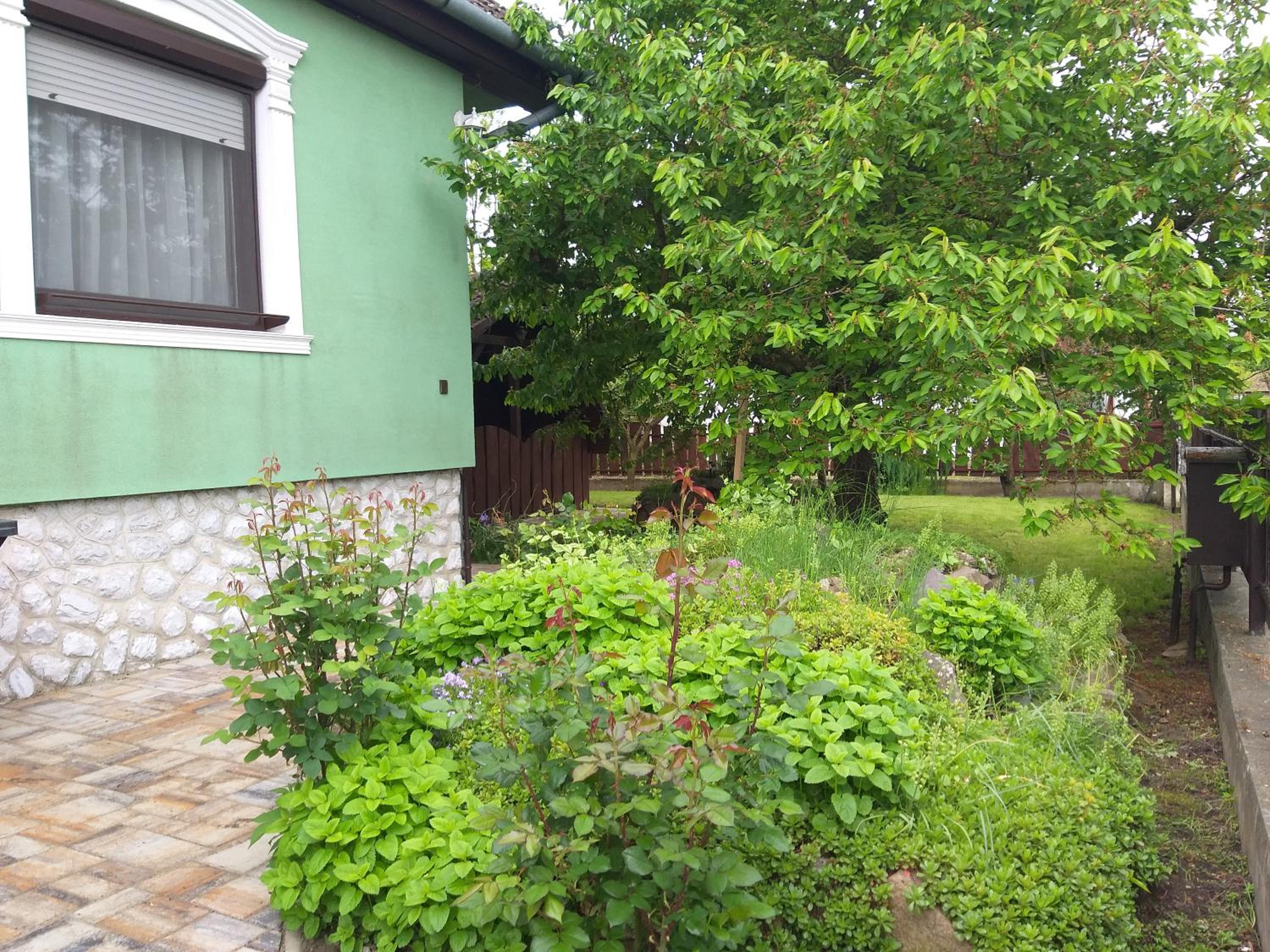 Photo 15