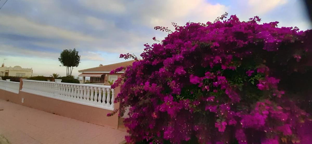 Villa Estrella photo 3