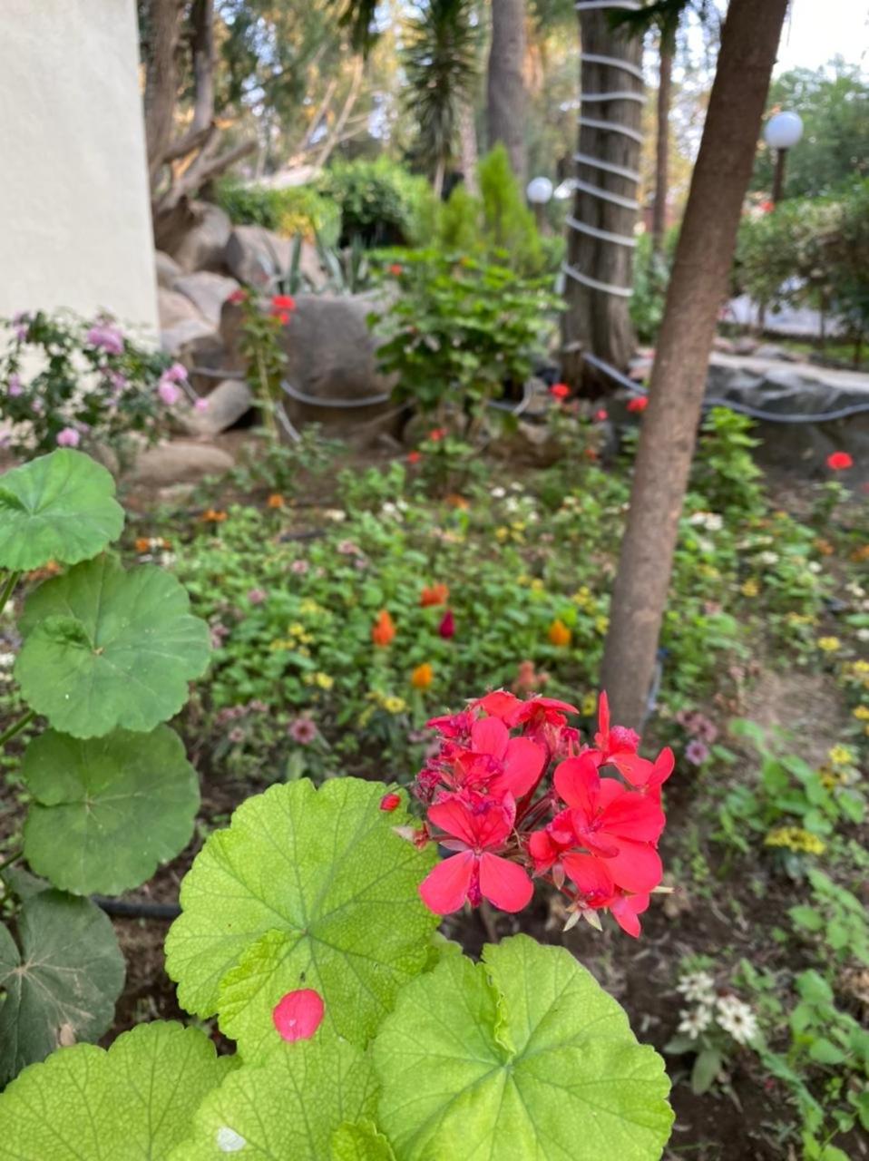 Sadeem Village & Chalet
