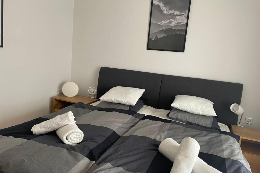 Penthouse Hechelstein - Top 106