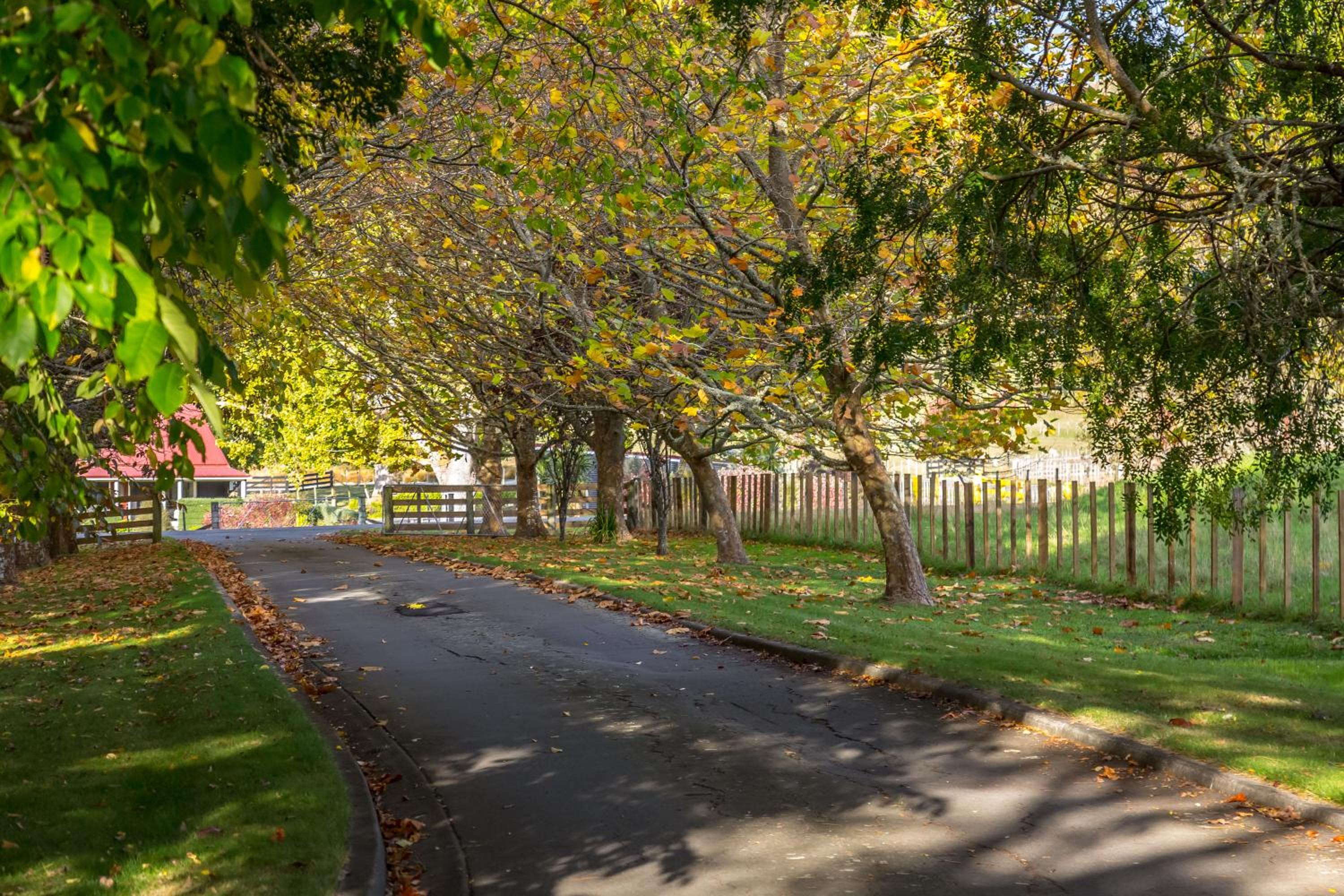 Longbush Estate — photo 3