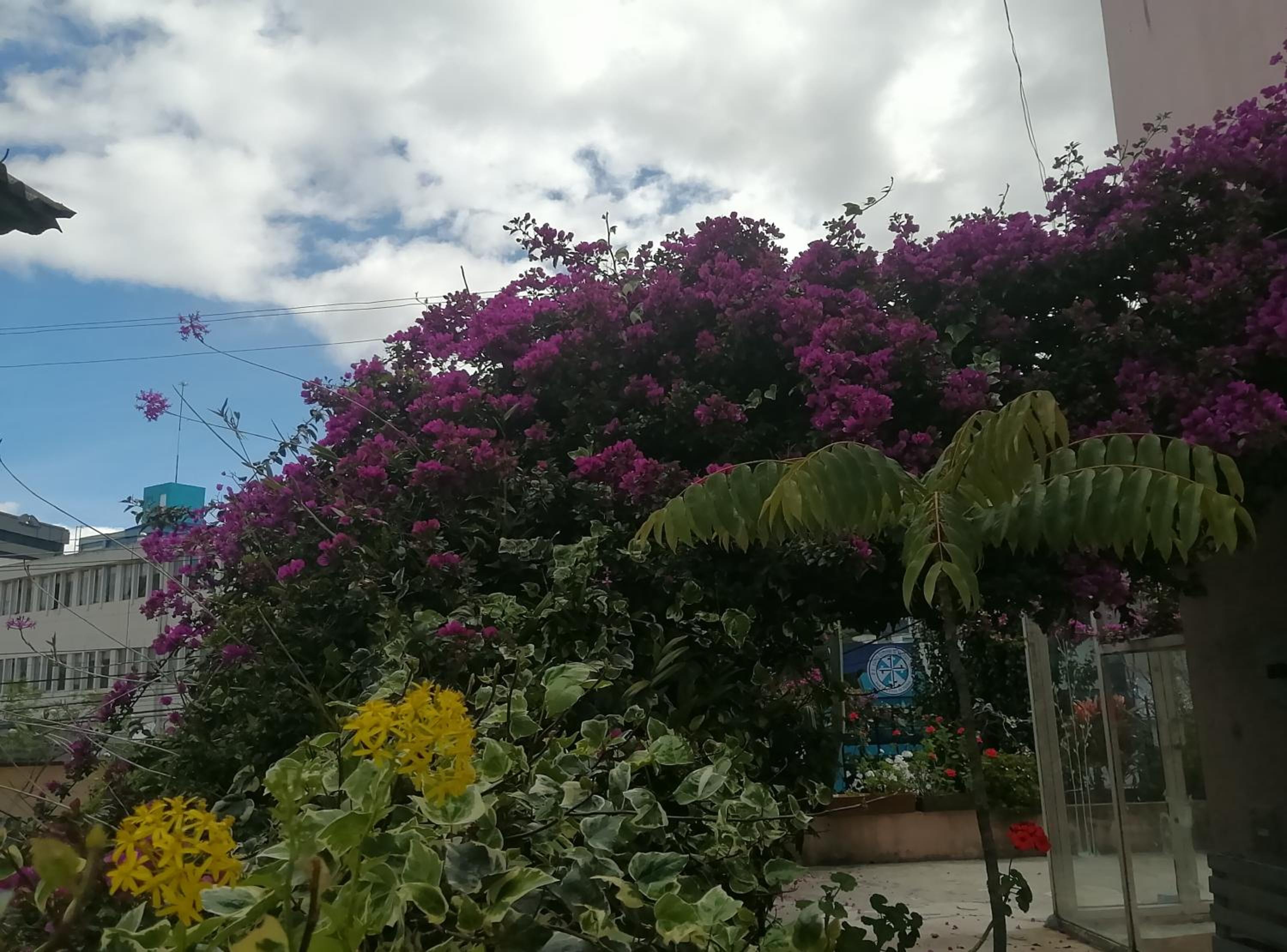 Bird Garden Guest House