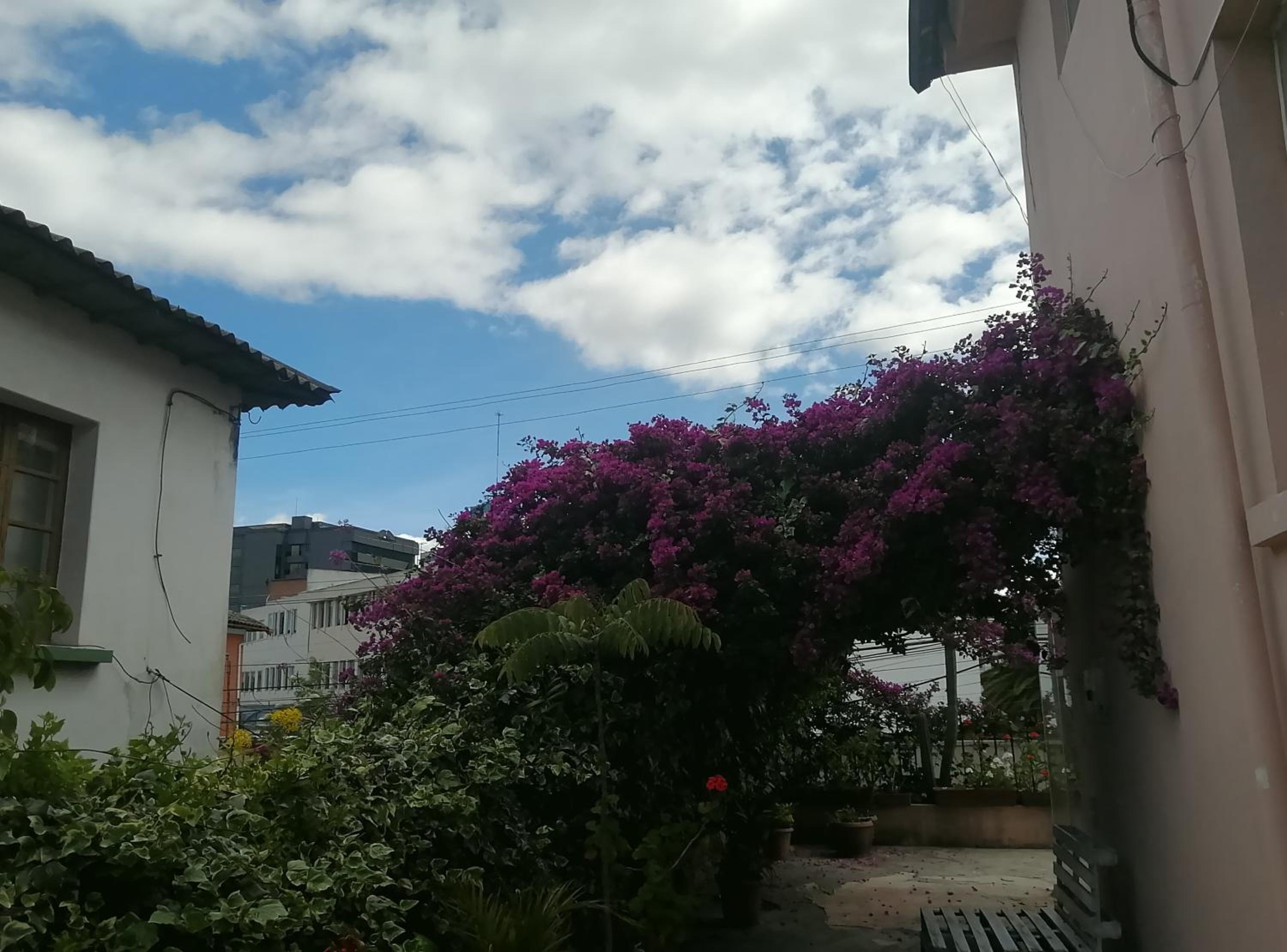 Bird Garden Guest House