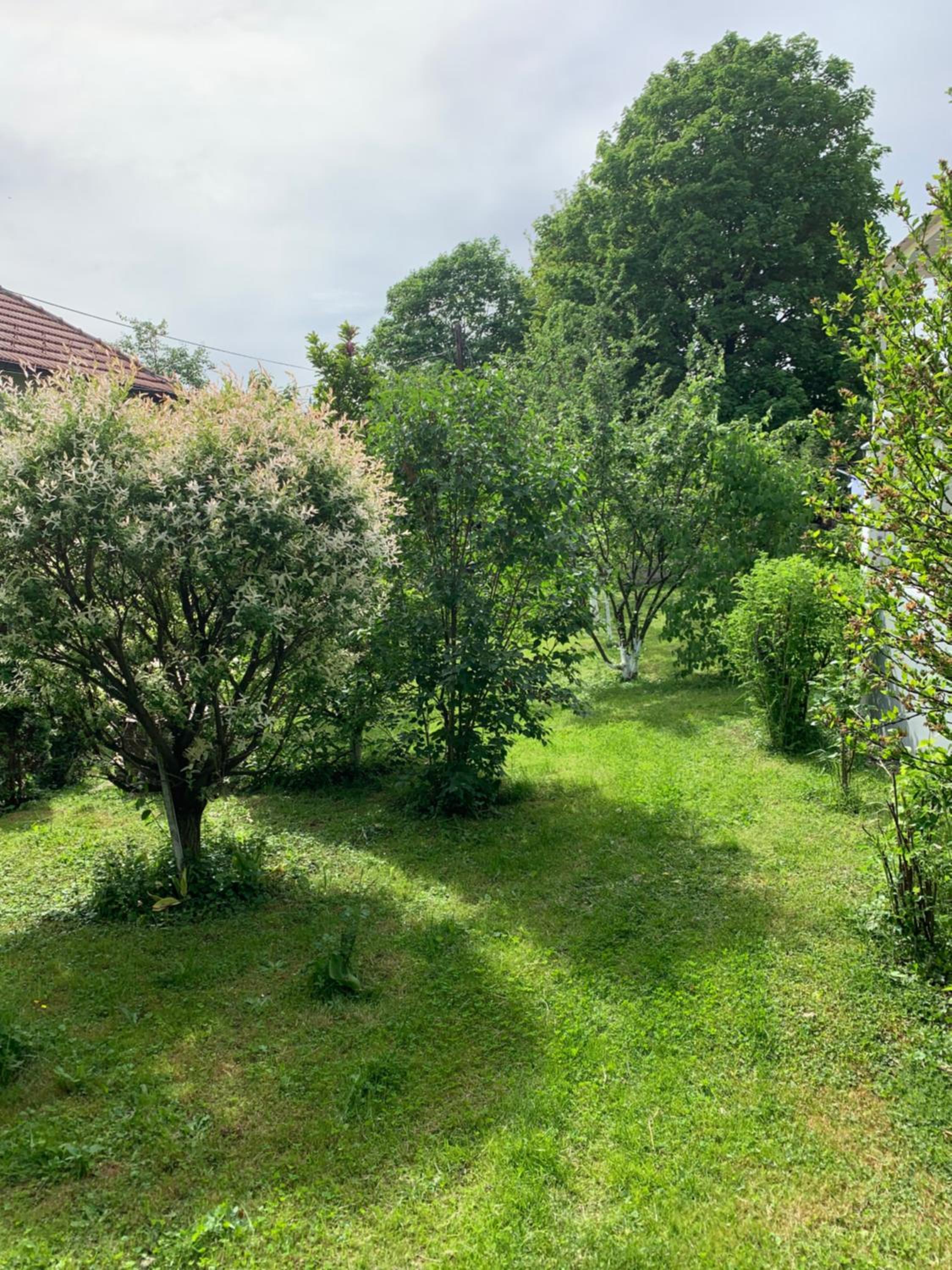 Apartman MirA