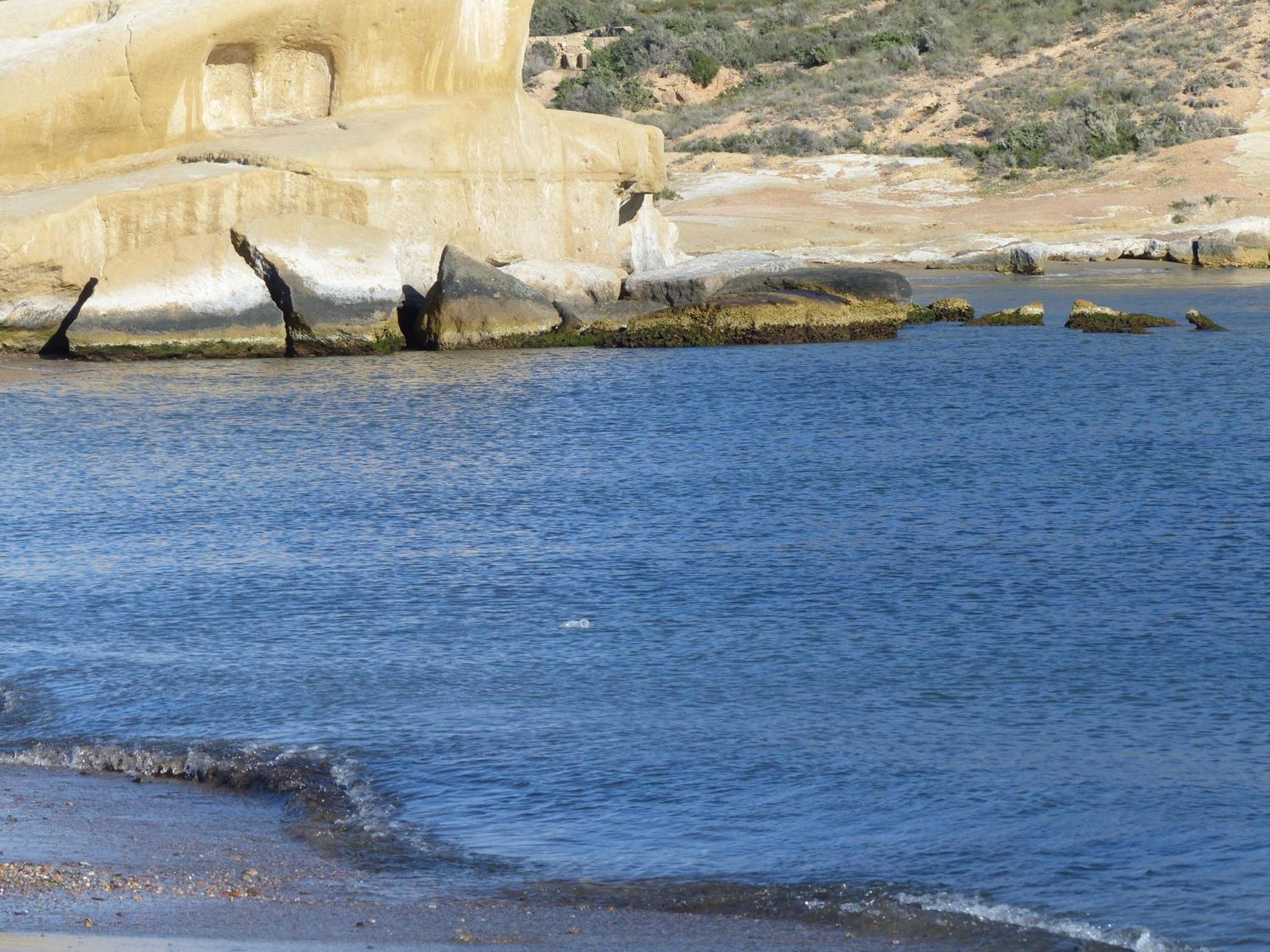 Villa private pool sea view at 300m 2 a10 pax san Juan terreros view 4