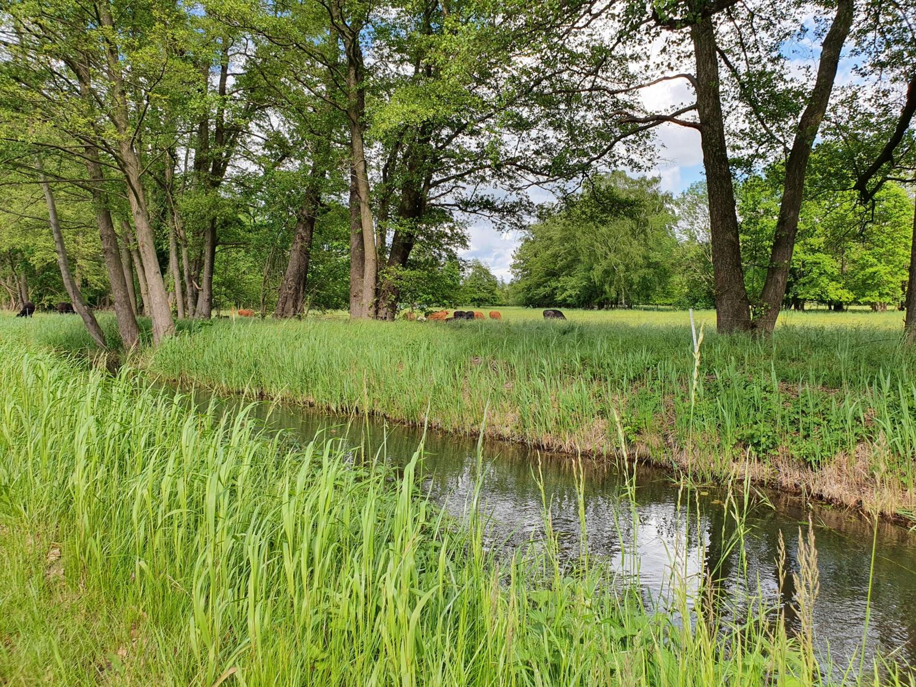 Ferienhaus Hase