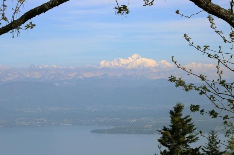 Lac et Mont-Blanc