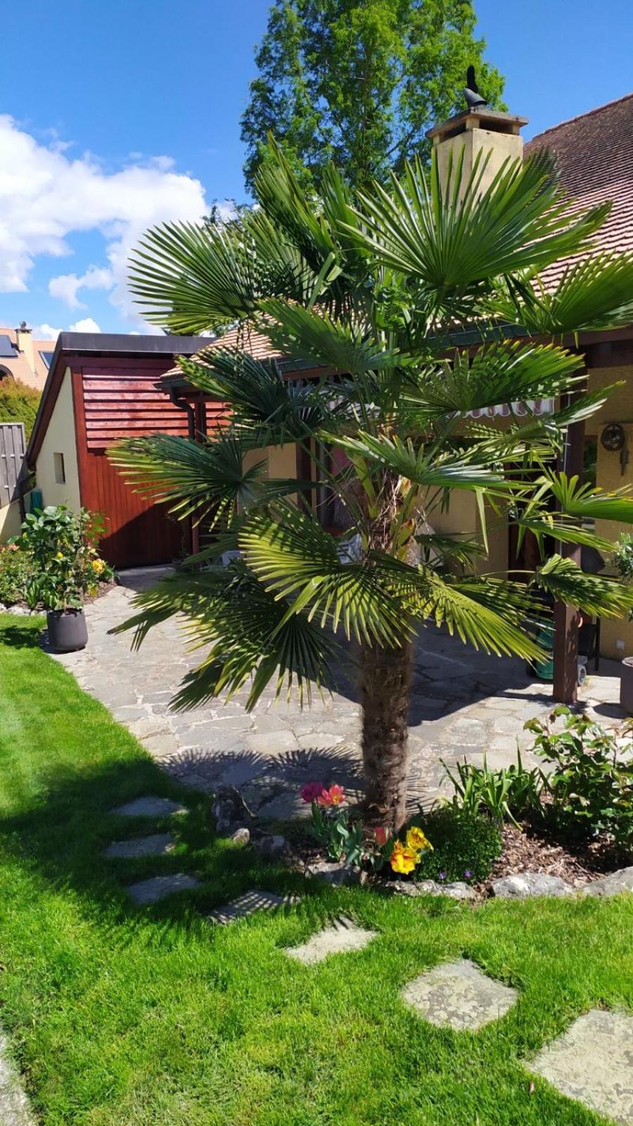Guest House La Sereine