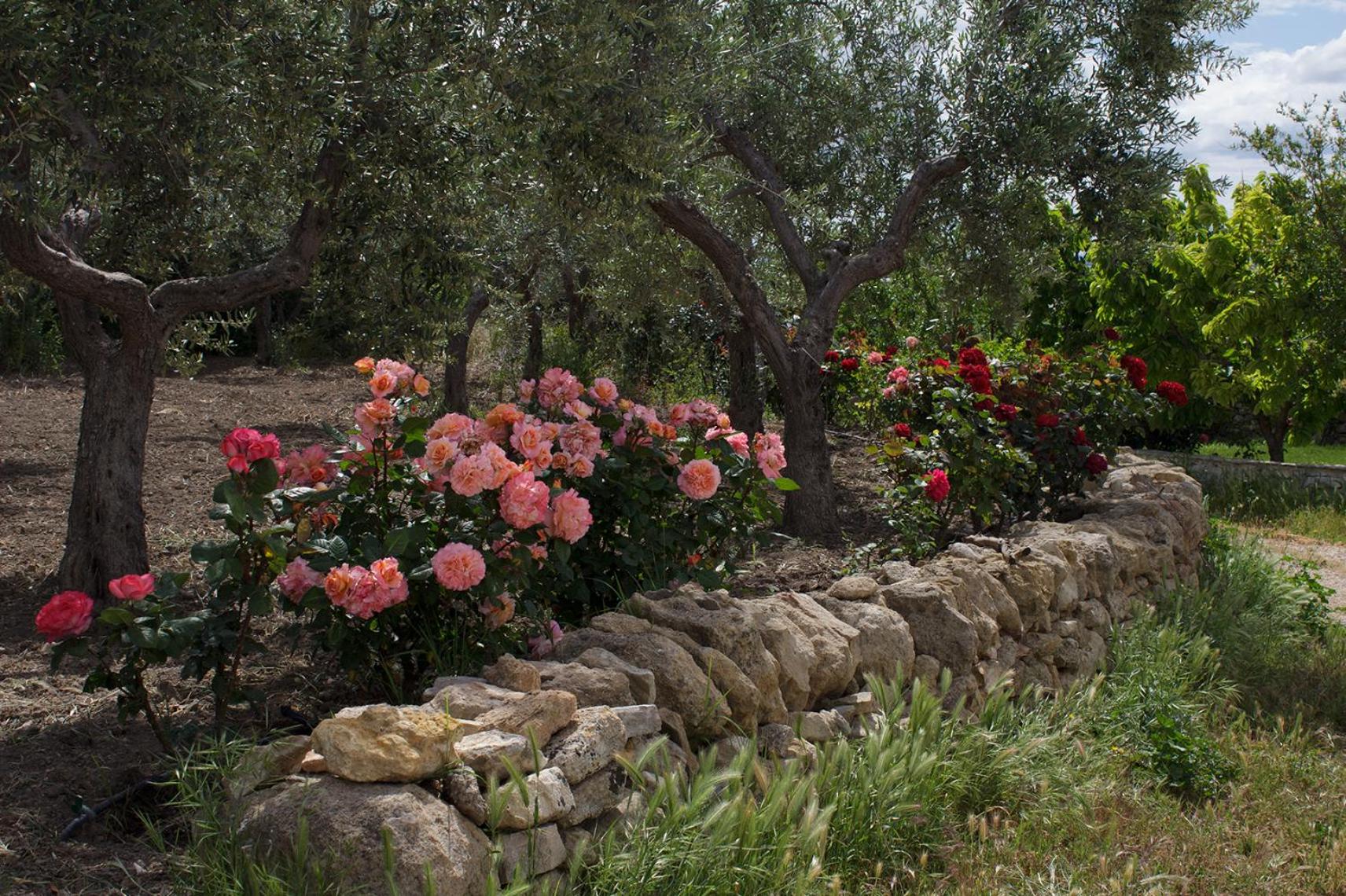 Photo 29