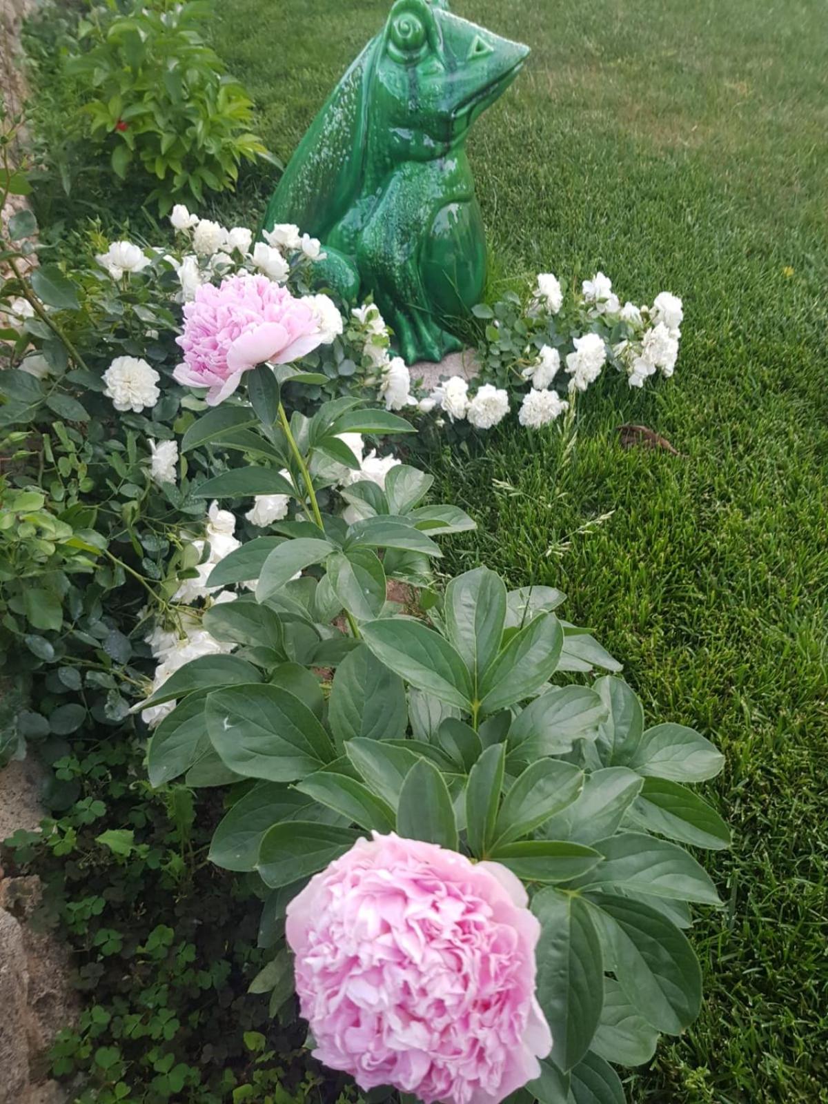 Photo 33