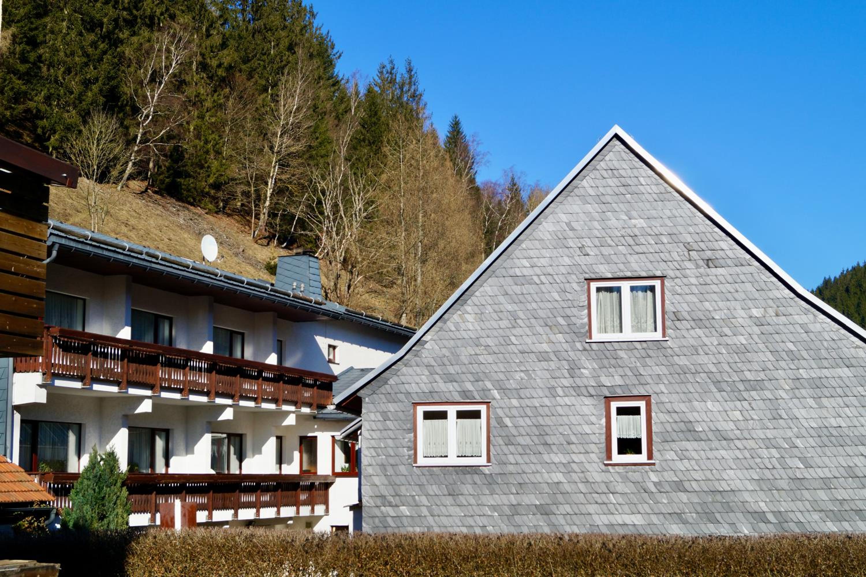 Pension zum Ritter view 3