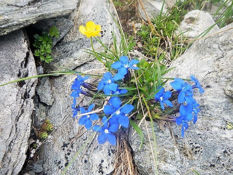 Photo 33