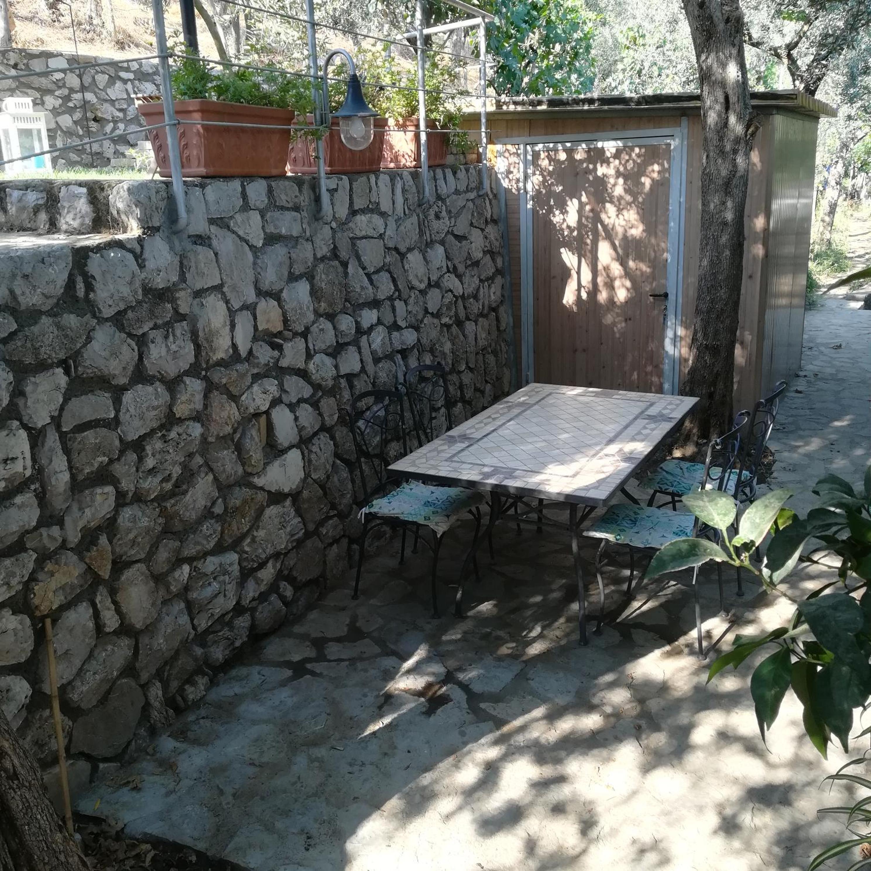 Photo 11