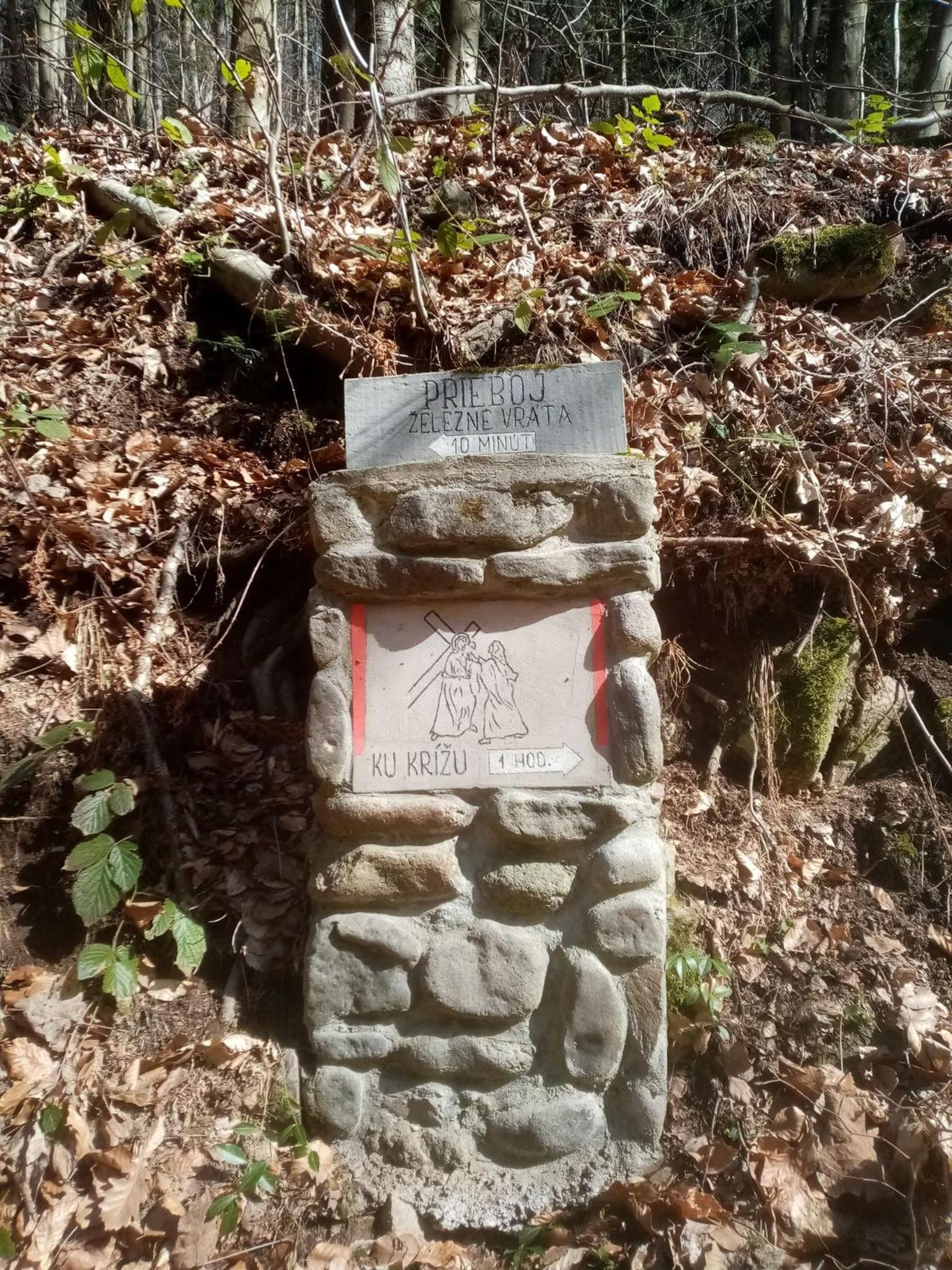 Photo 47