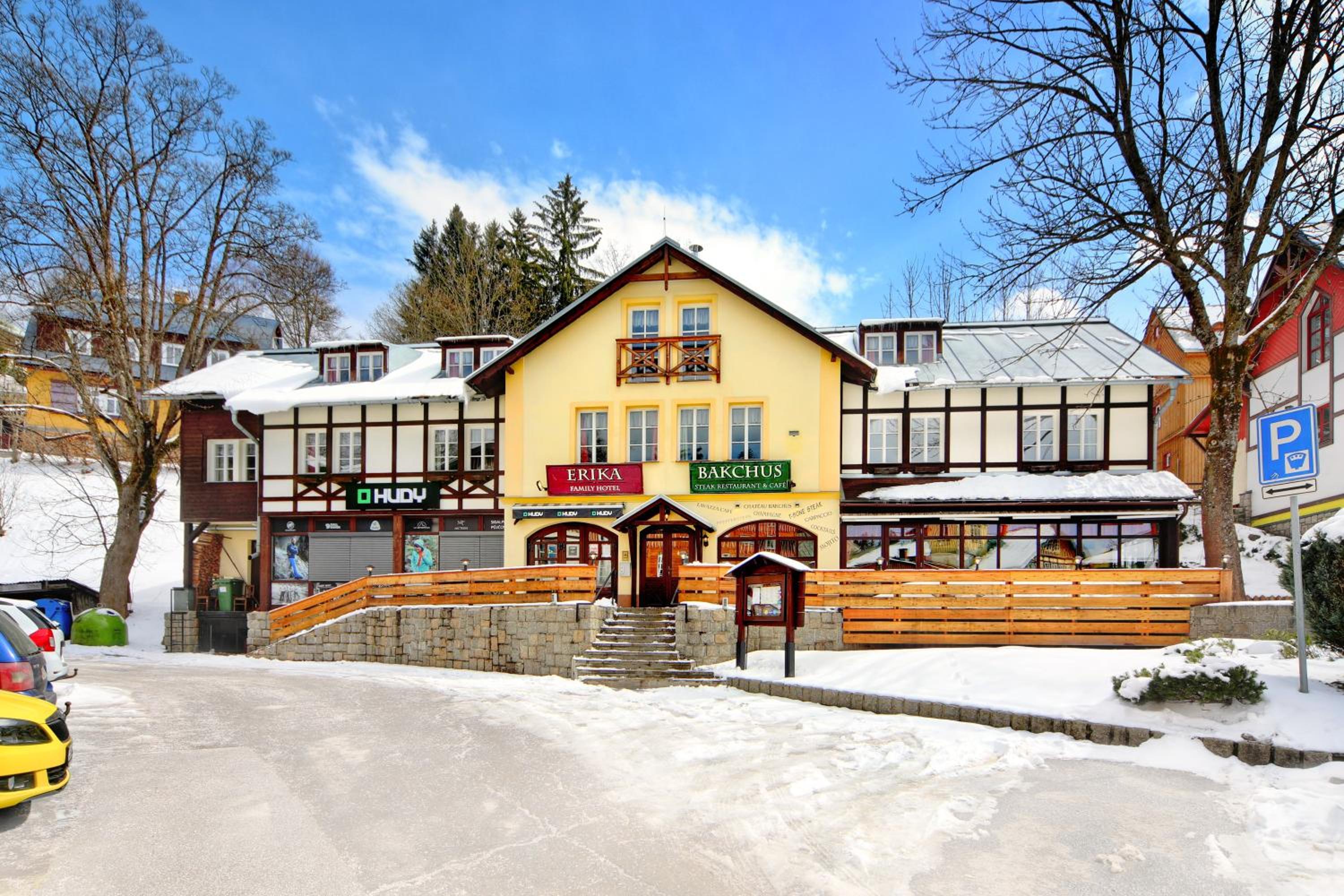 Hotel Erika - Image 1