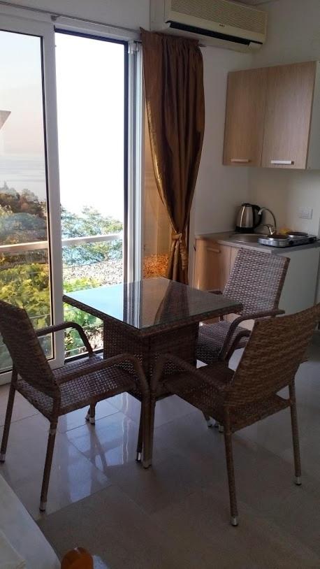 Apartments Djakonovic view 3