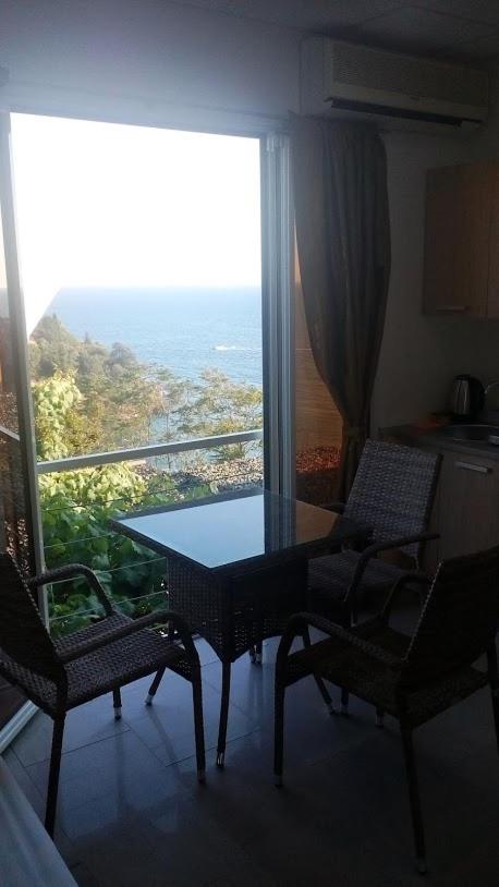 Apartments Djakonovic view 4