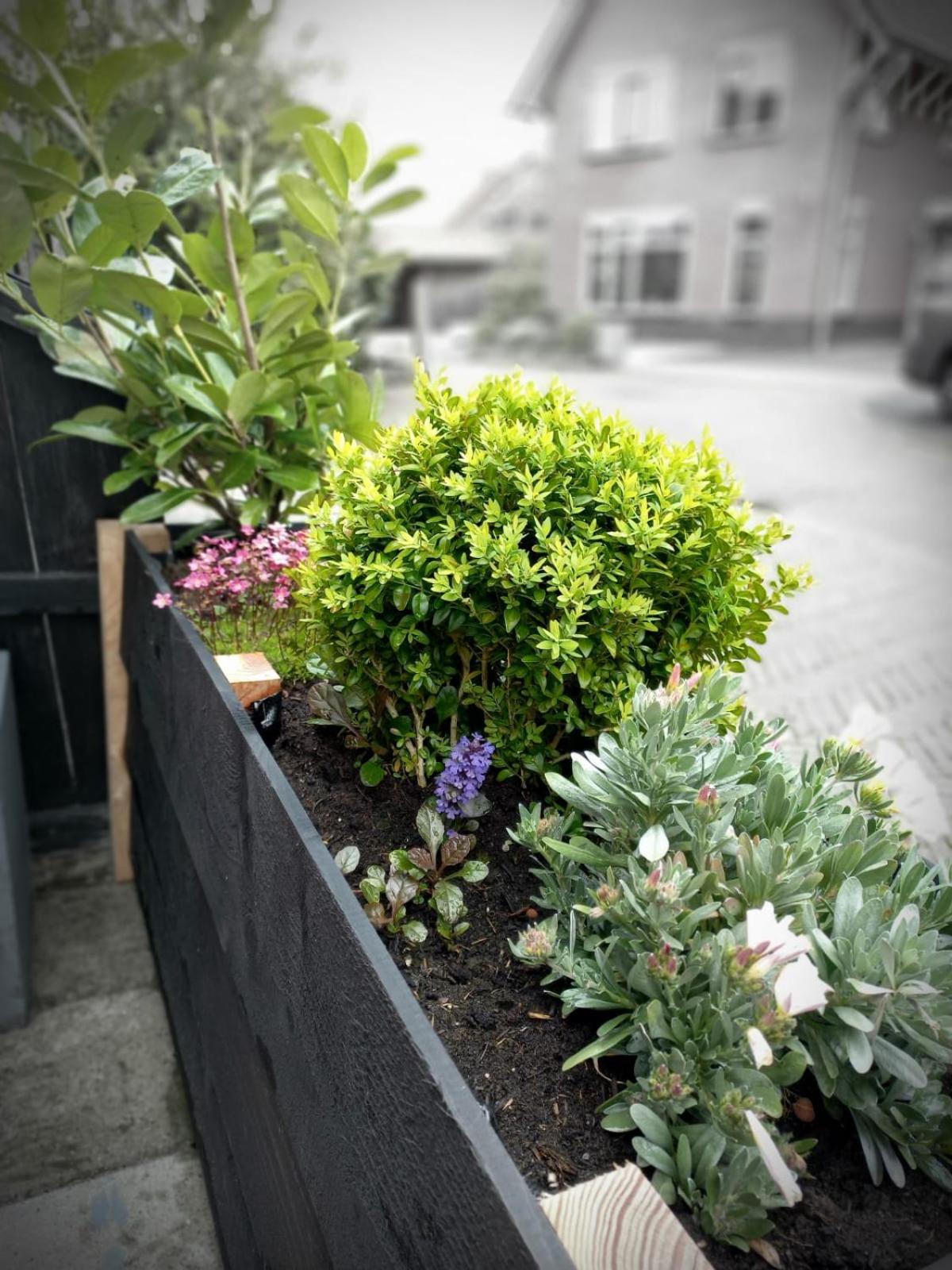 Photo 14