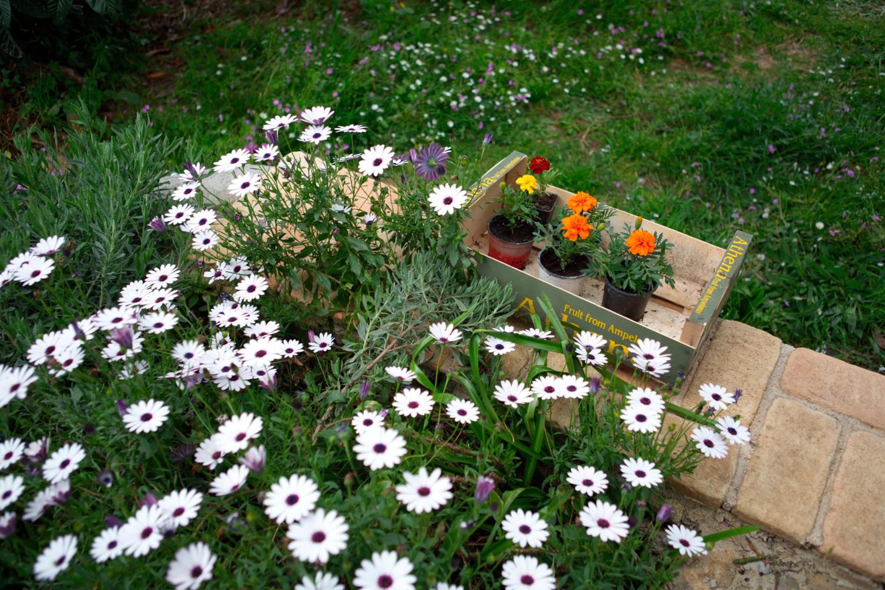 Photo 49