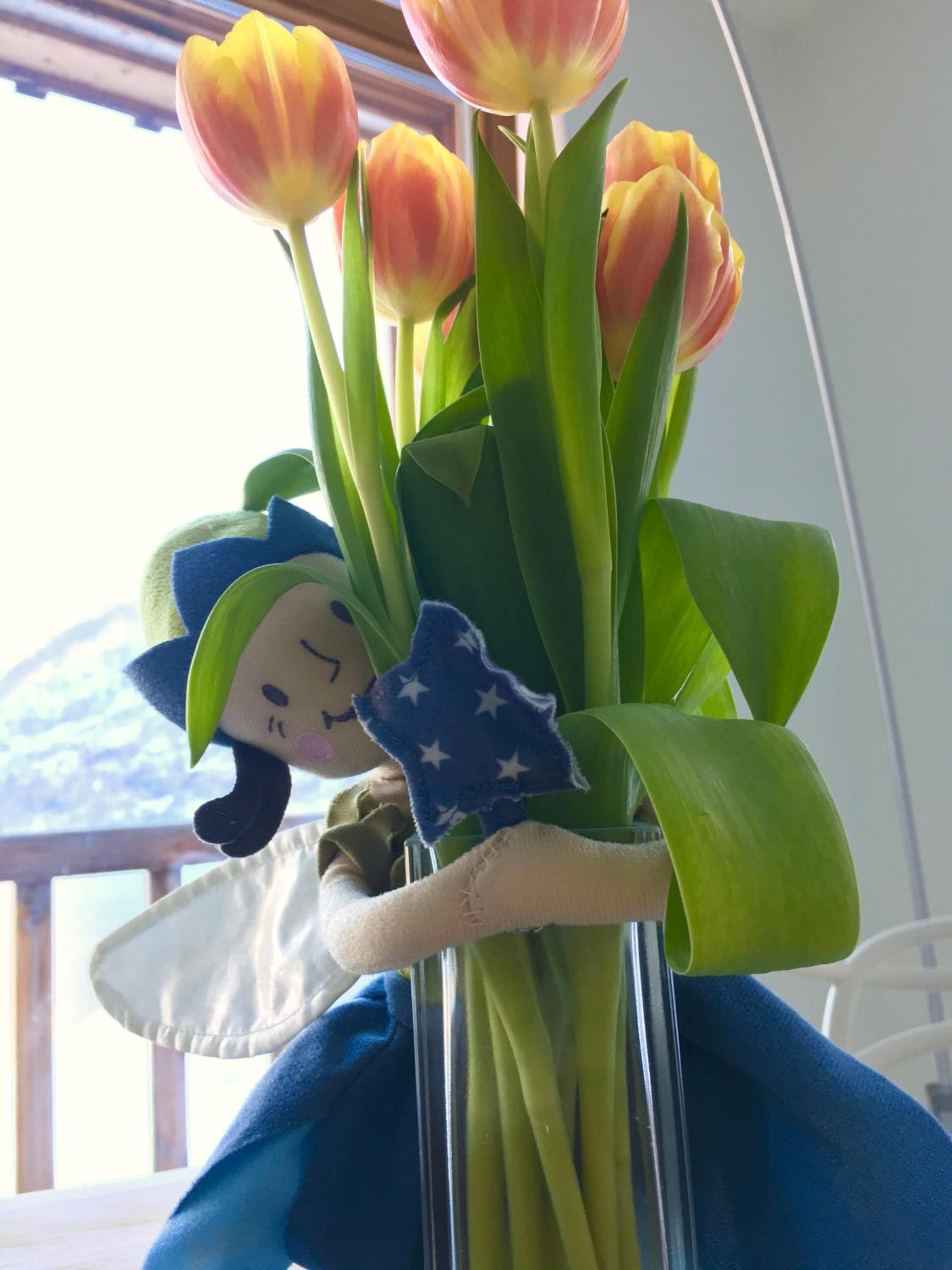 Photo 24