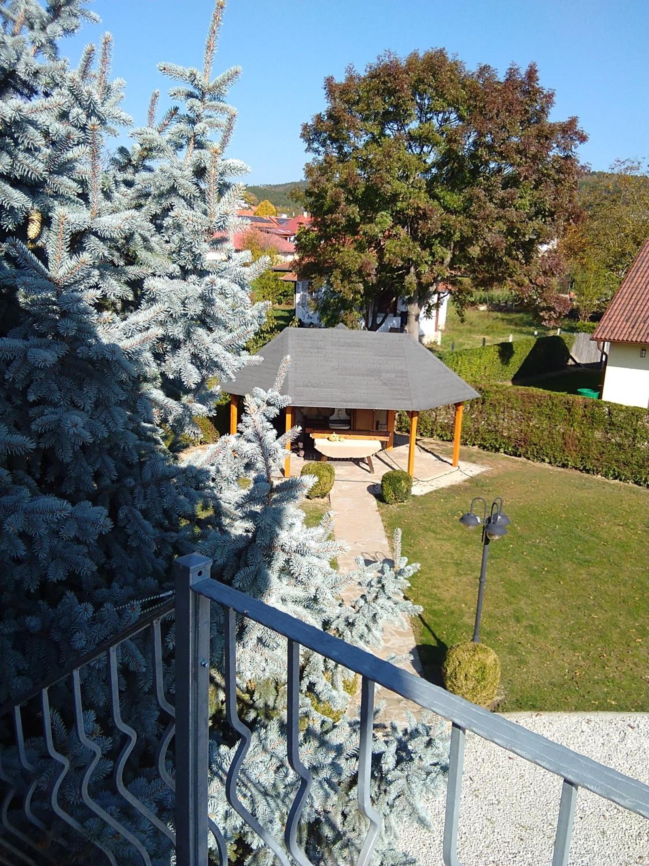 Photo 21