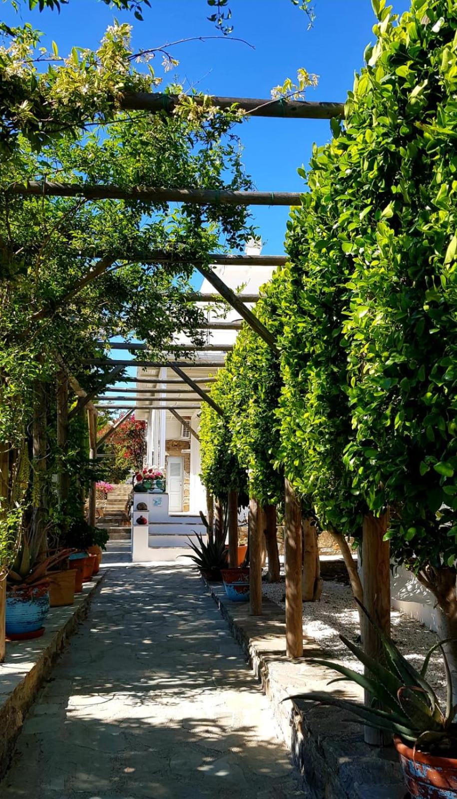 La Casa di Dolly view 3