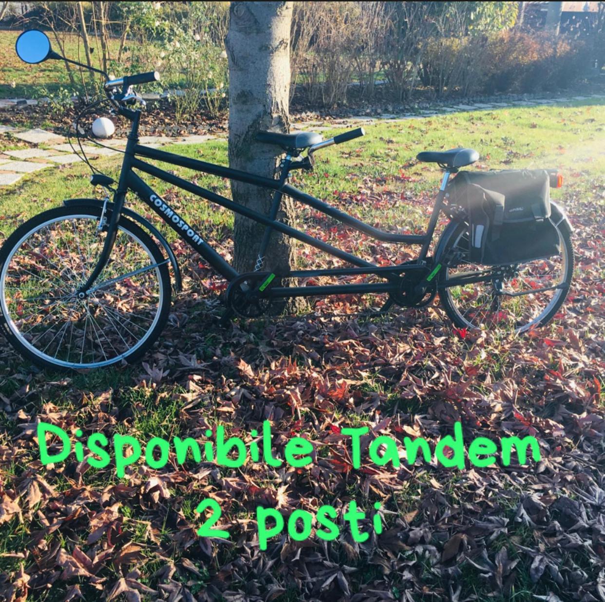 Green House in campagna - Property Image 98