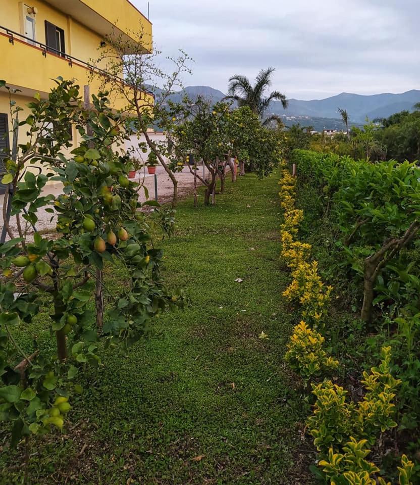 Casa Vacanze Paradise