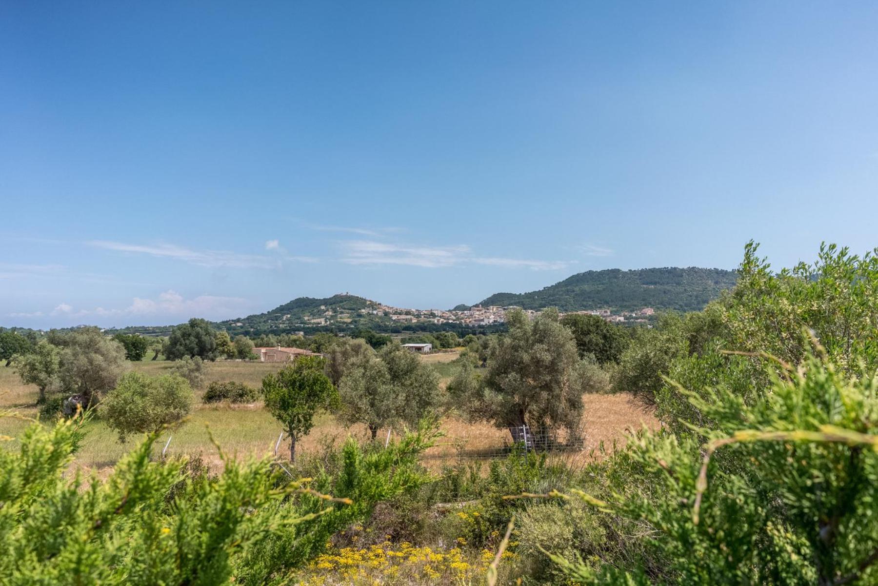 Finca Soliva view 2