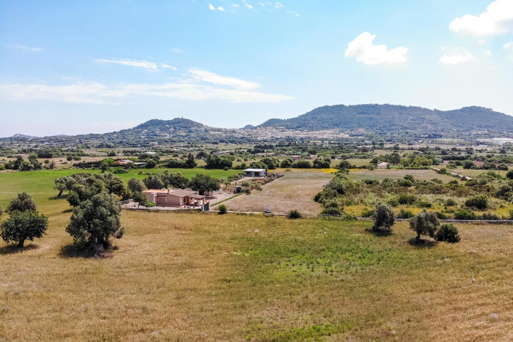 Finca Soliva view 5