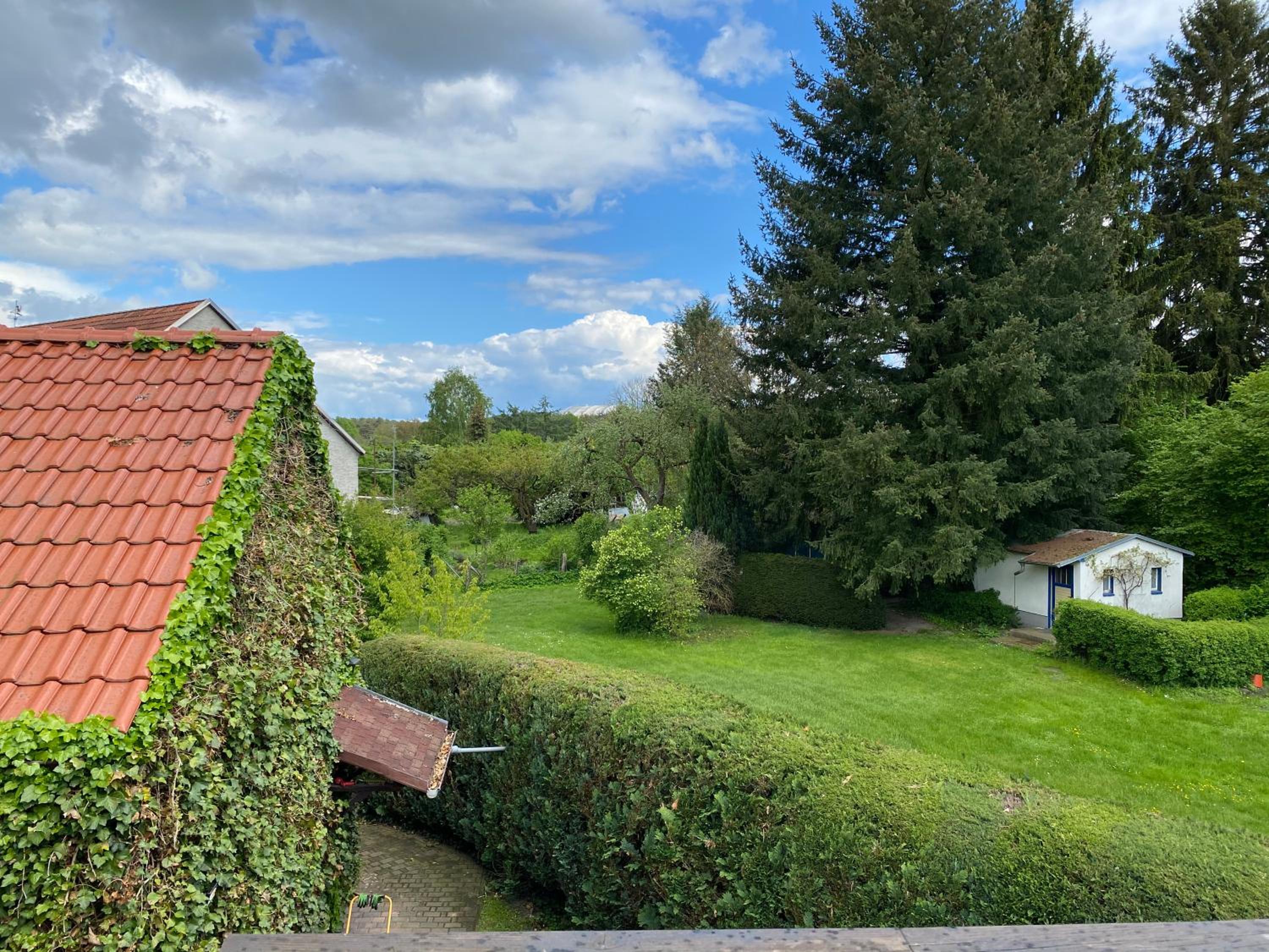 Ferienwohnung Zum Schloß view 4