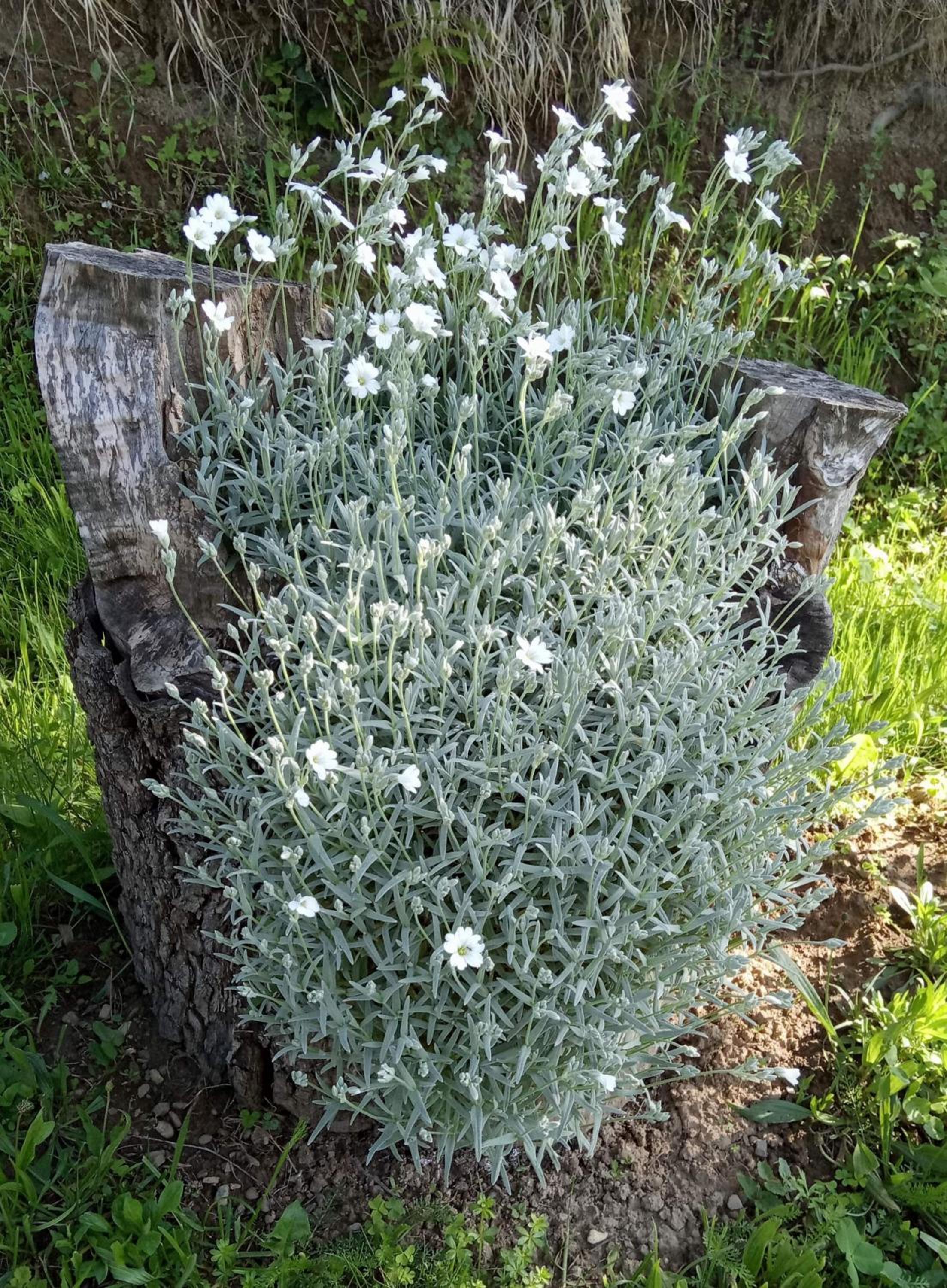 Photo 26