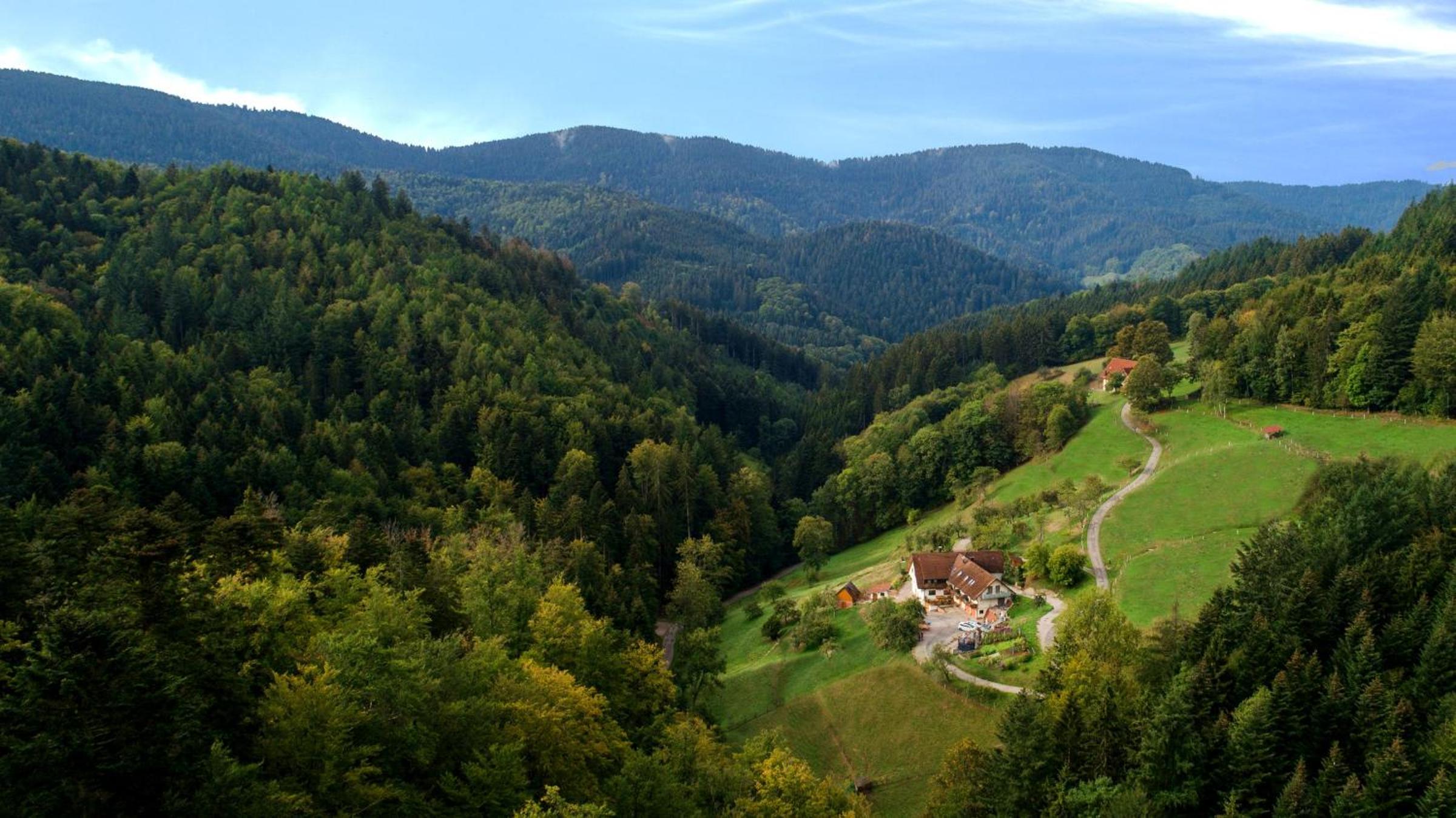 Paradies Im Schwarzwald