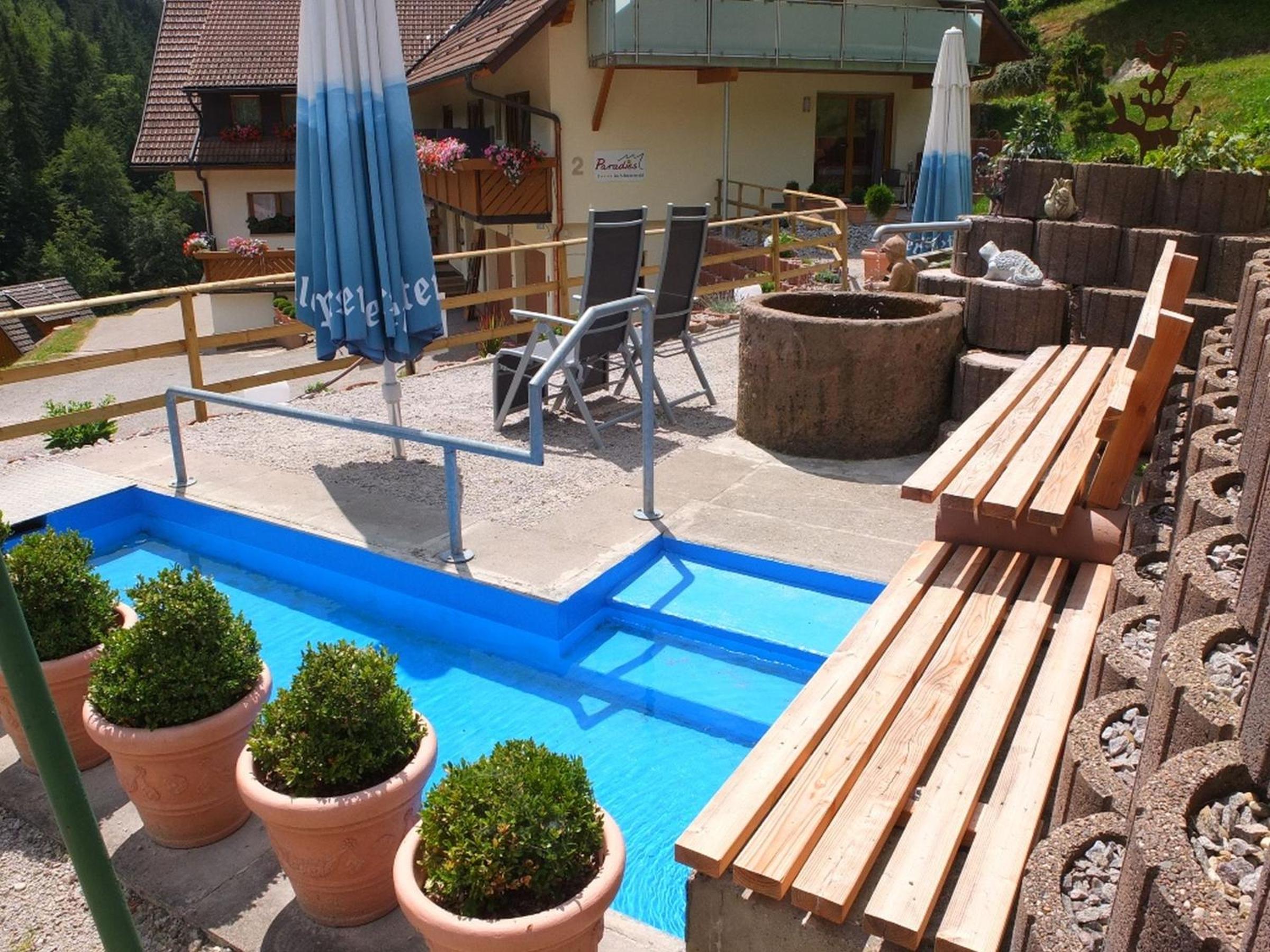Paradies Im Schwarzwald