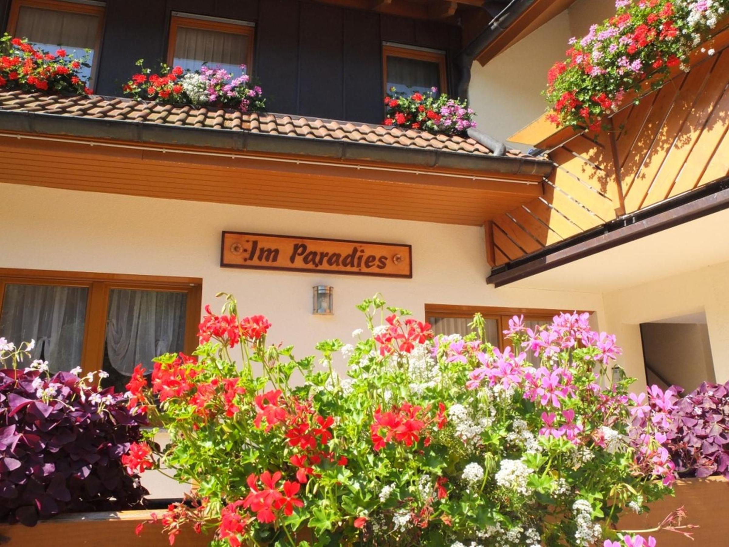 Paradies Im Schwarzwald