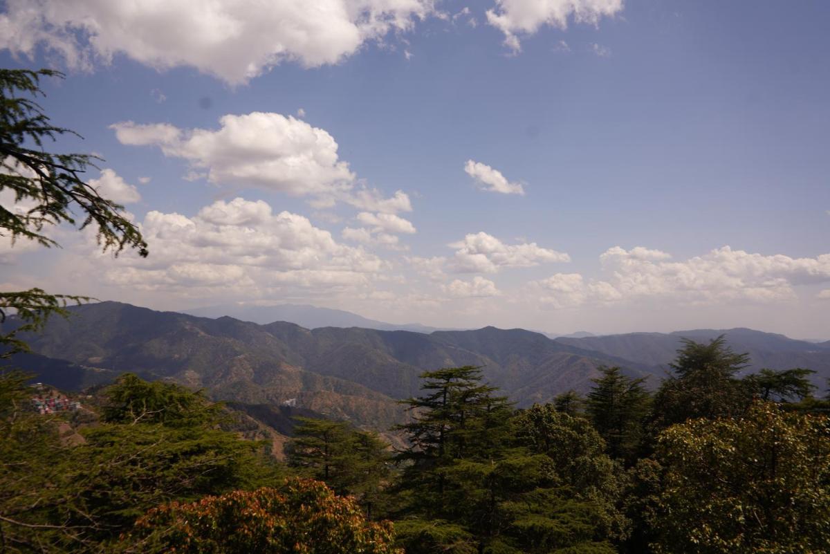 Jakhu Vibes view 3